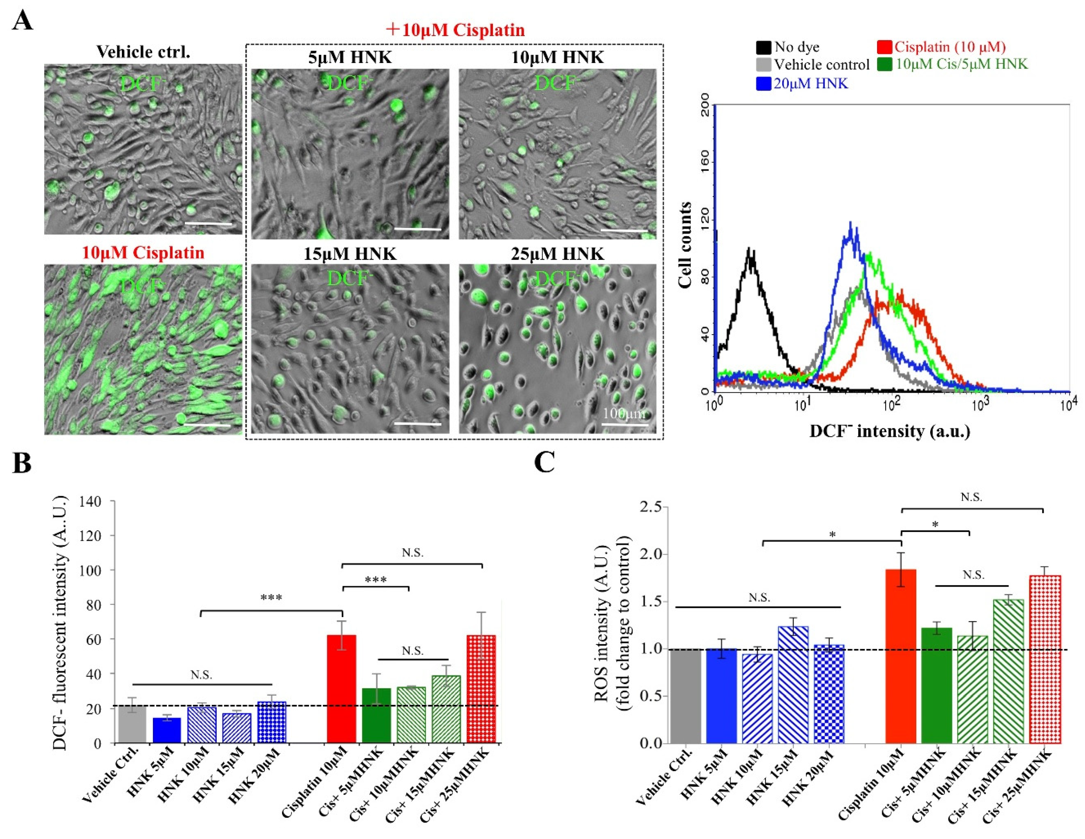 Antioxidants 09 00723 g001
