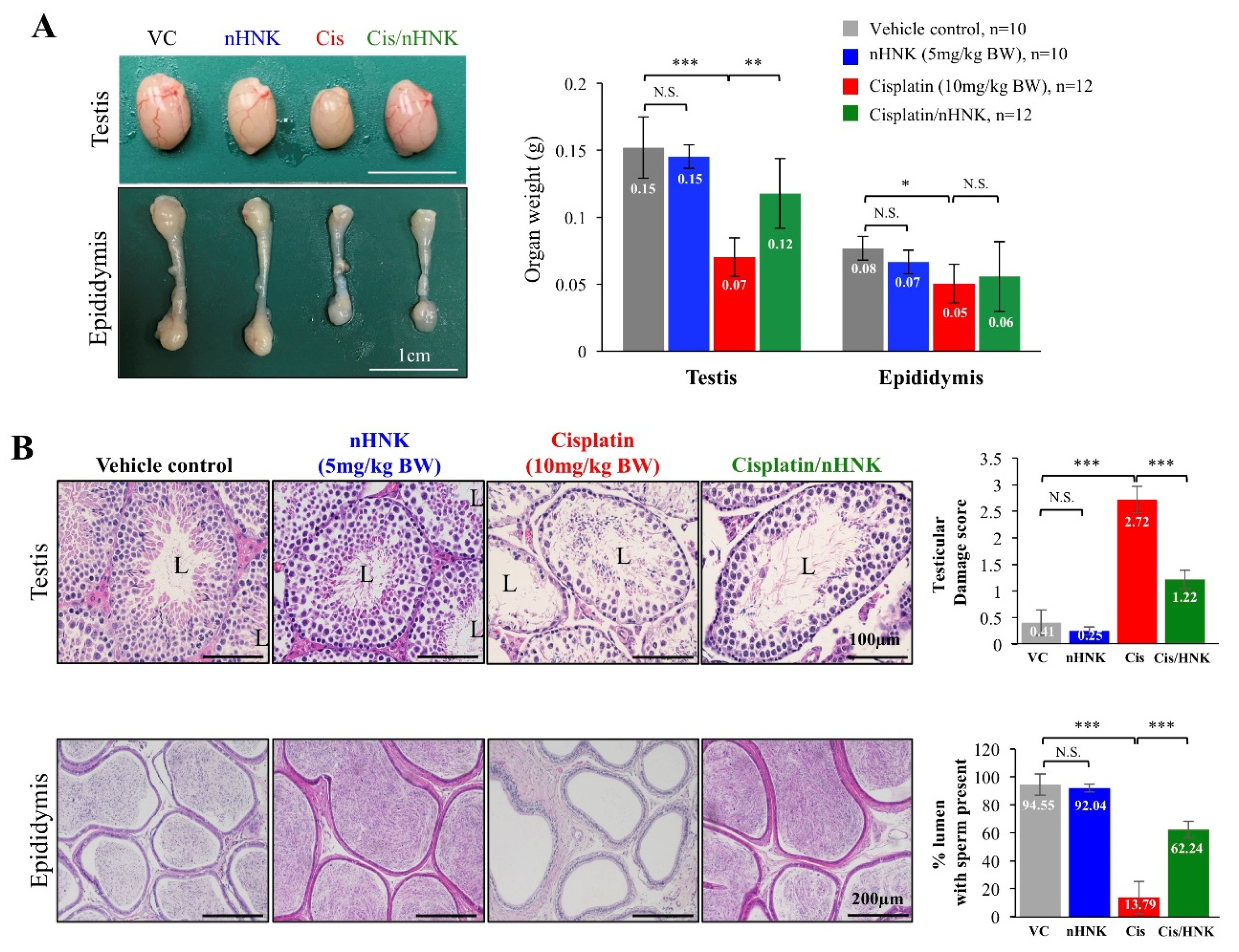 Antioxidants 09 00723 g002
