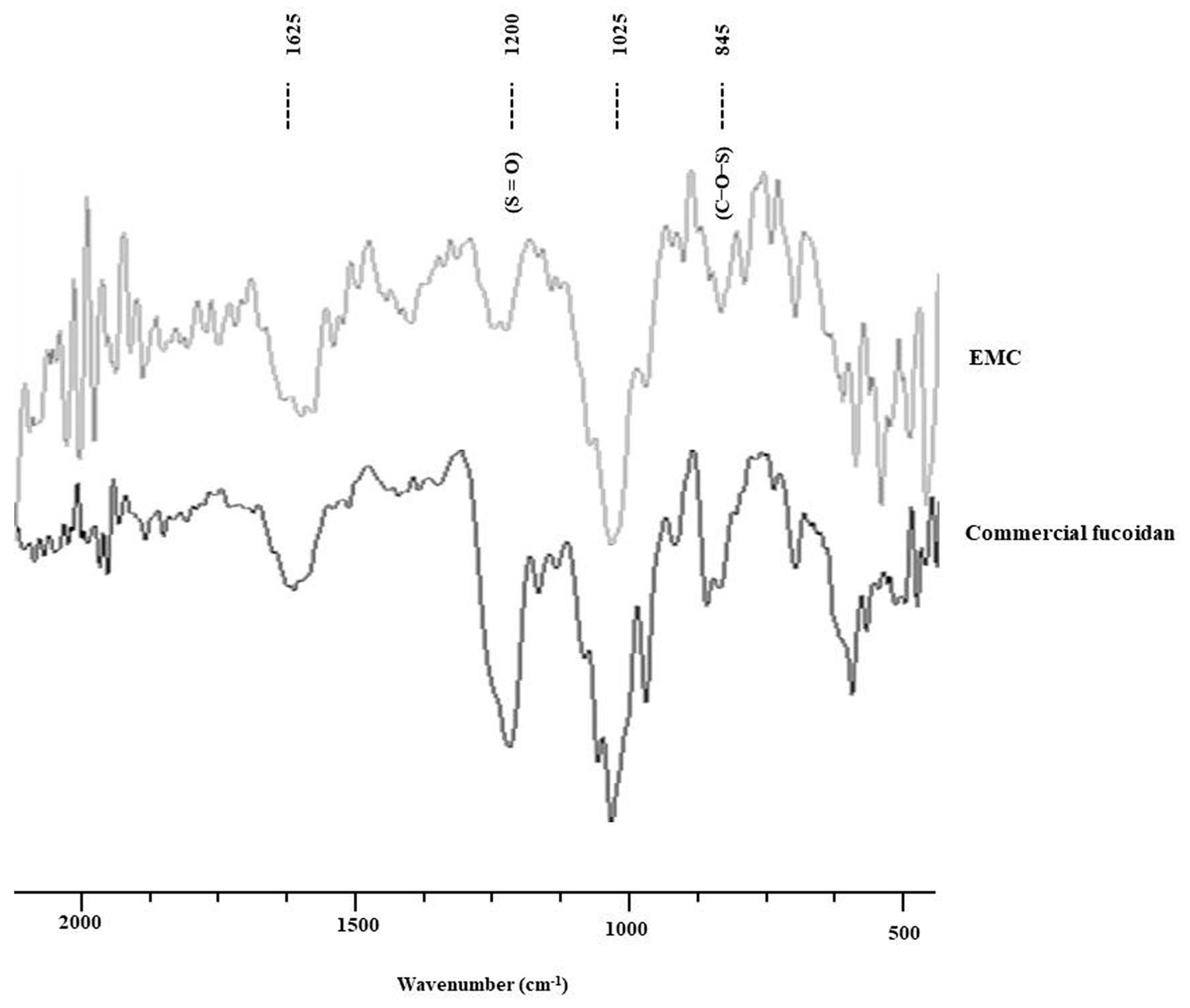 Antioxidants 09 00724 g001 Antioxidants 09 00724 g001