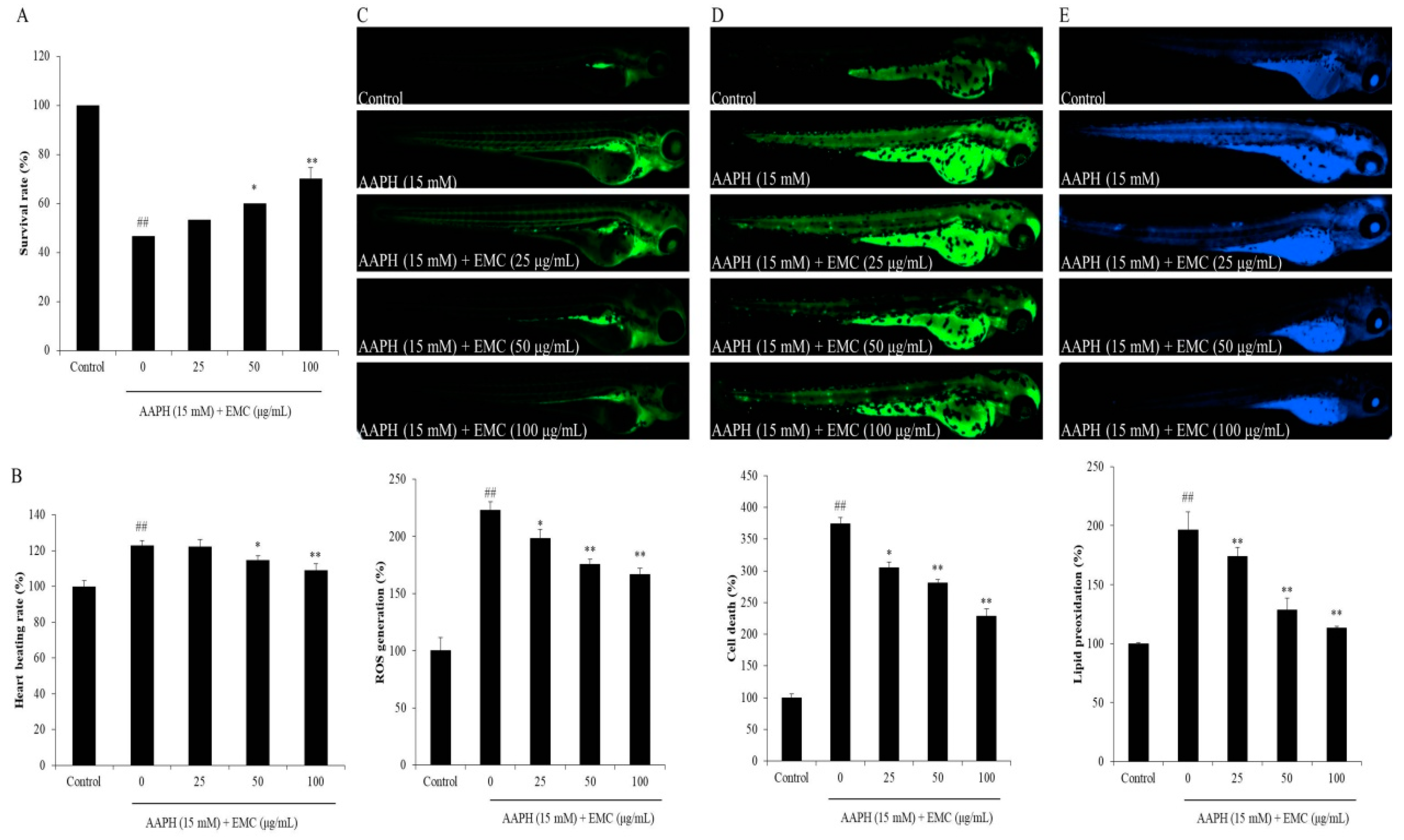 Antioxidants 09 00724 g003 Antioxidants 09 00724 g003