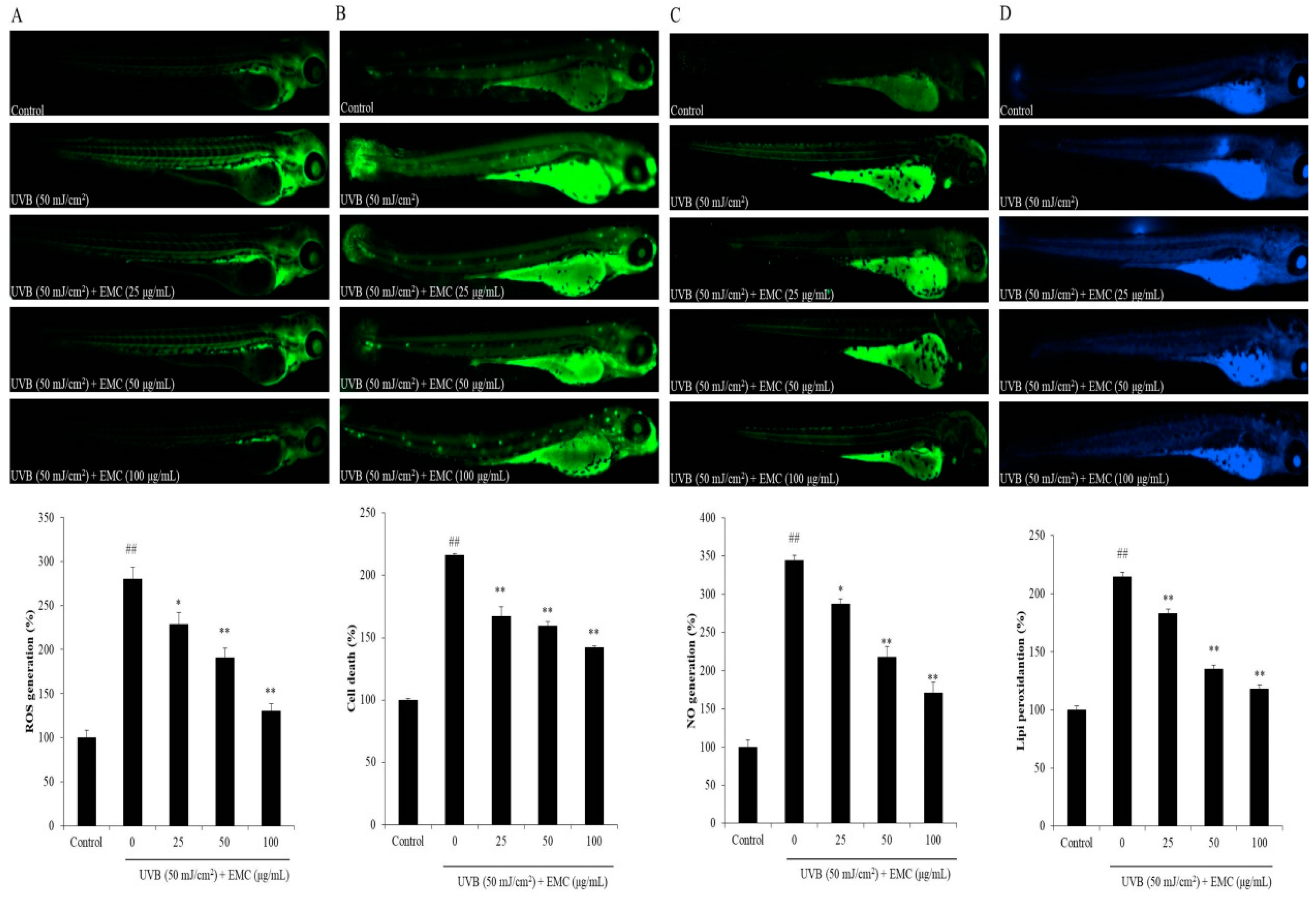 Antioxidants 09 00724 g008 Antioxidants 09 00724 g008