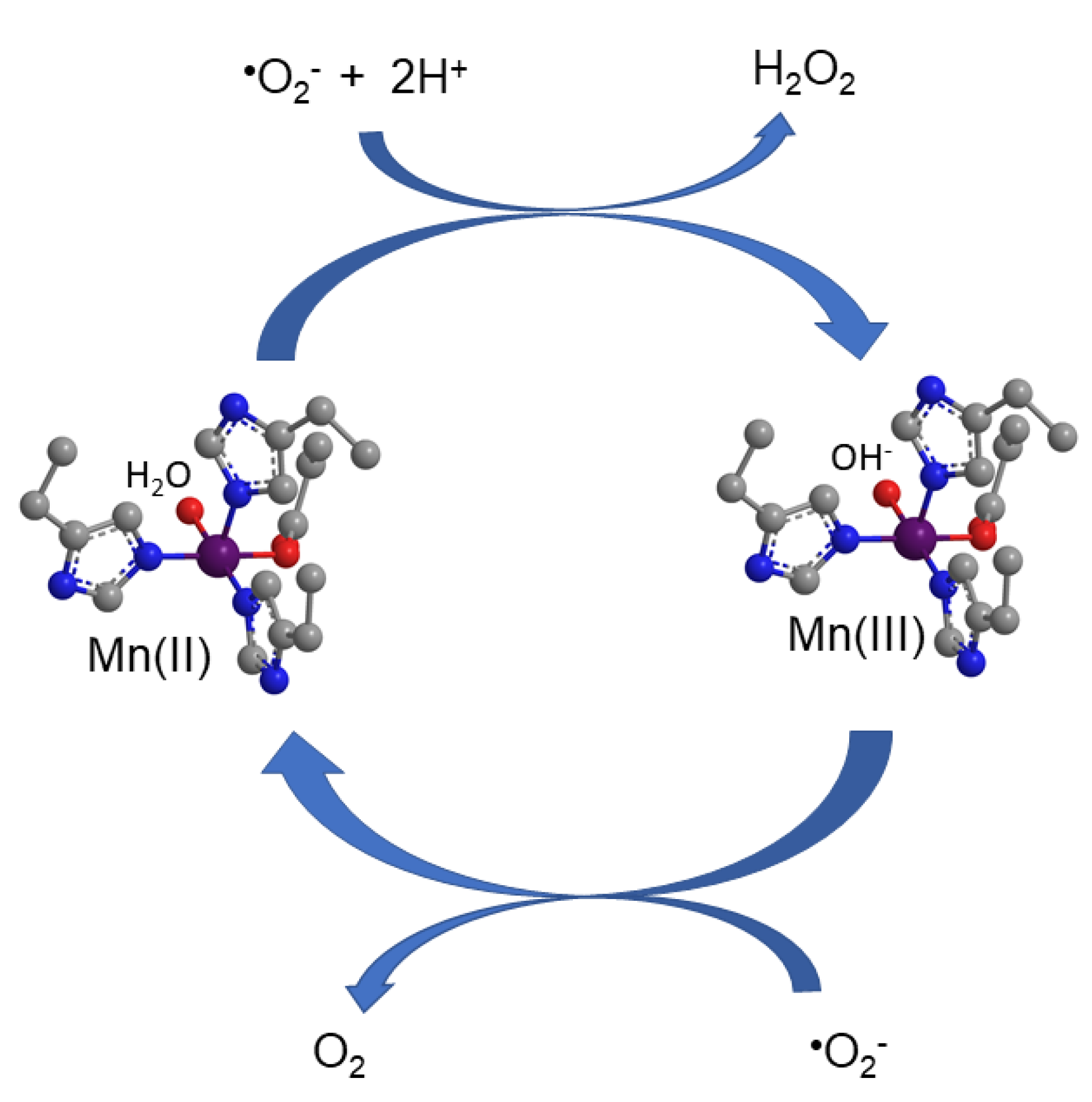 Antioxidants 09 00727 g002