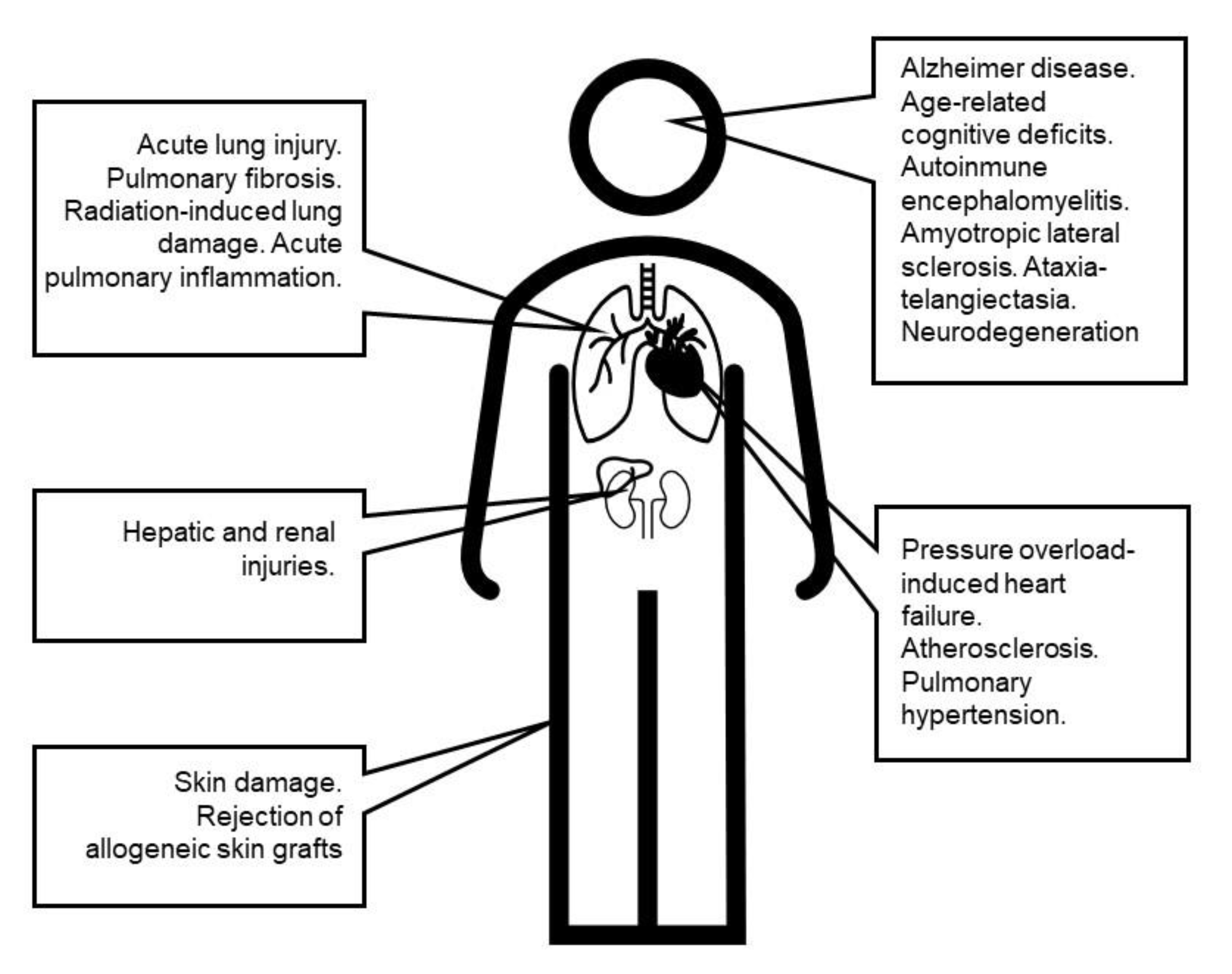 Antioxidants 09 00727 g008
