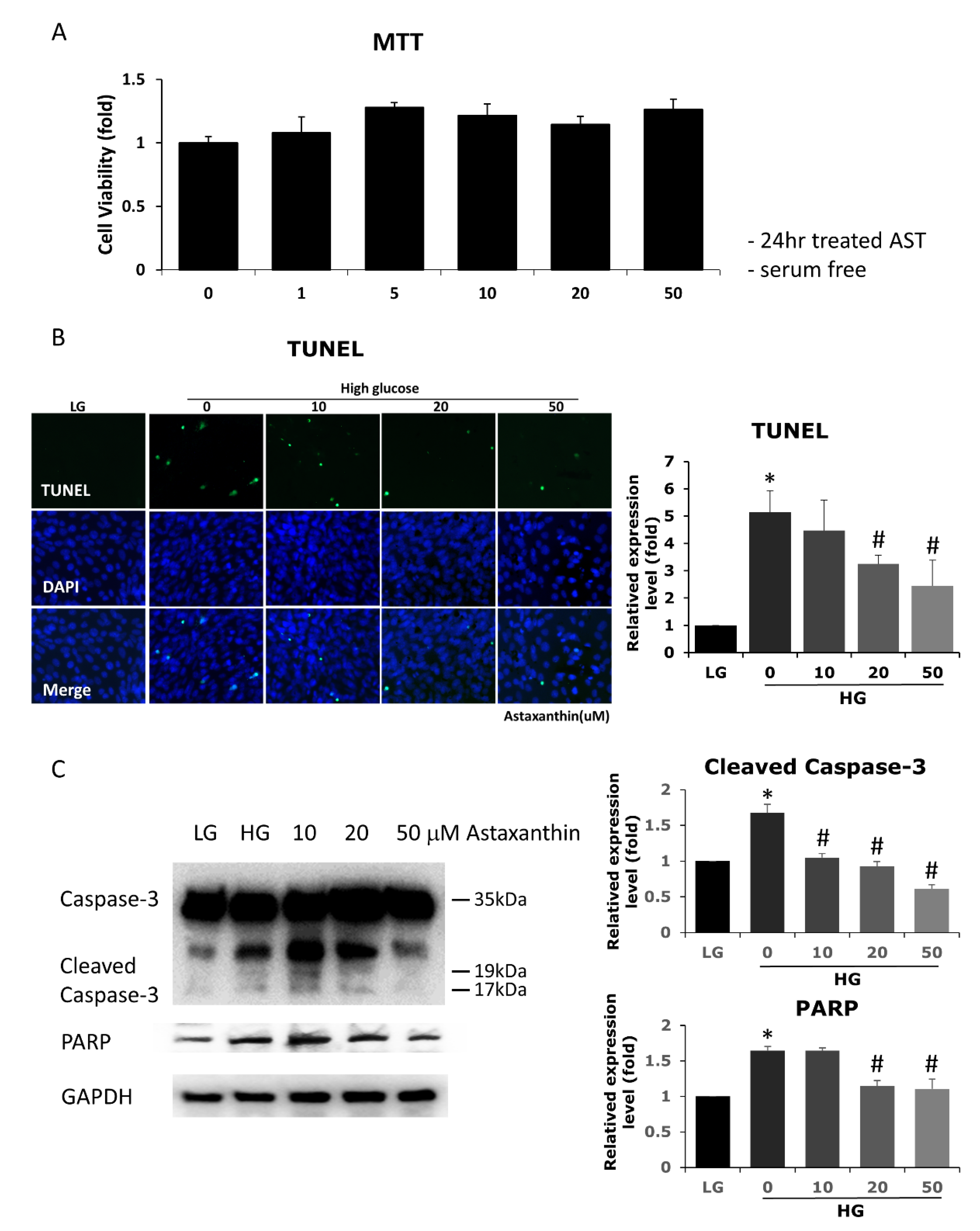 Antioxidants 09 00729 g001