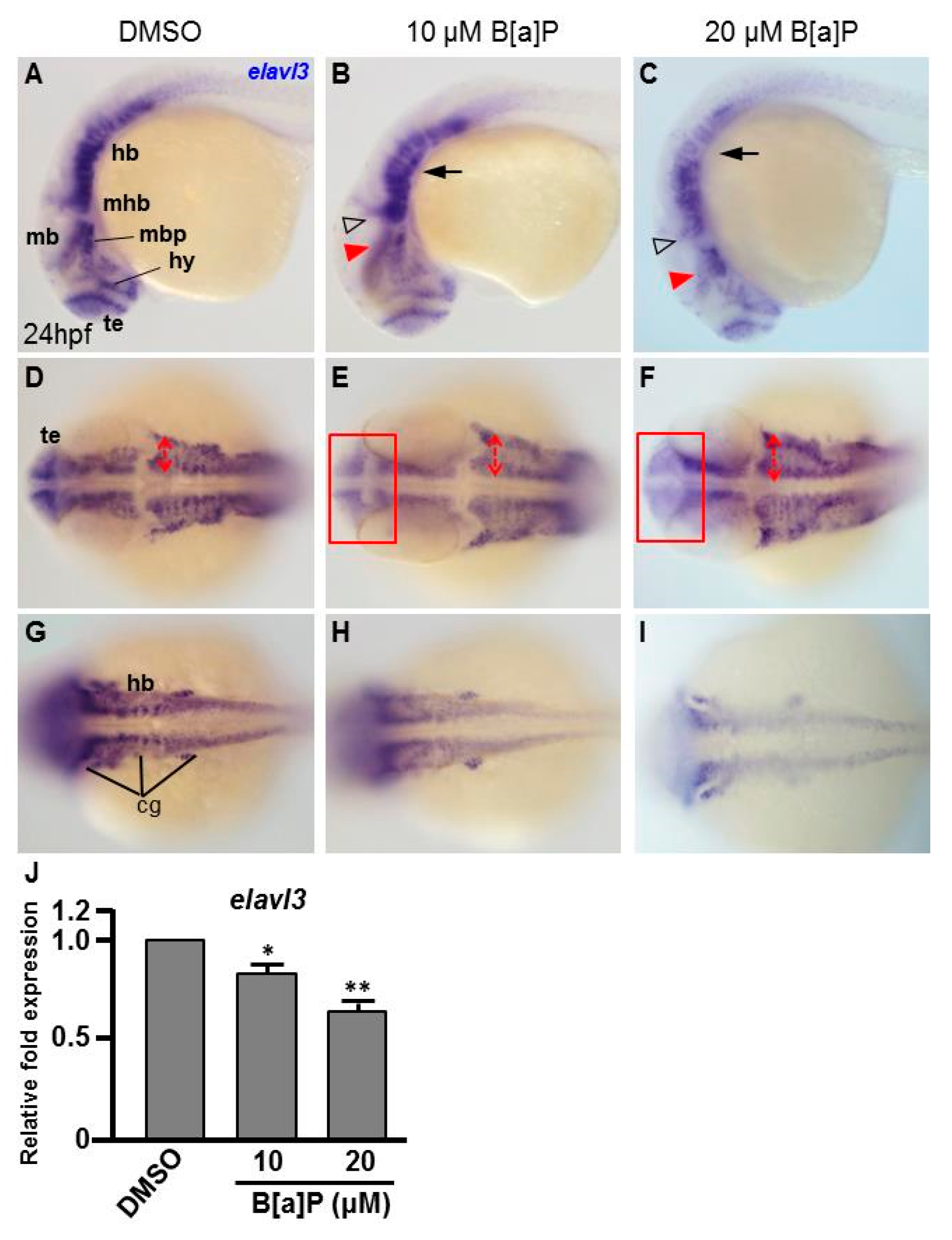 Antioxidants 09 00731 g002 Antioxidants 09 00731 g002