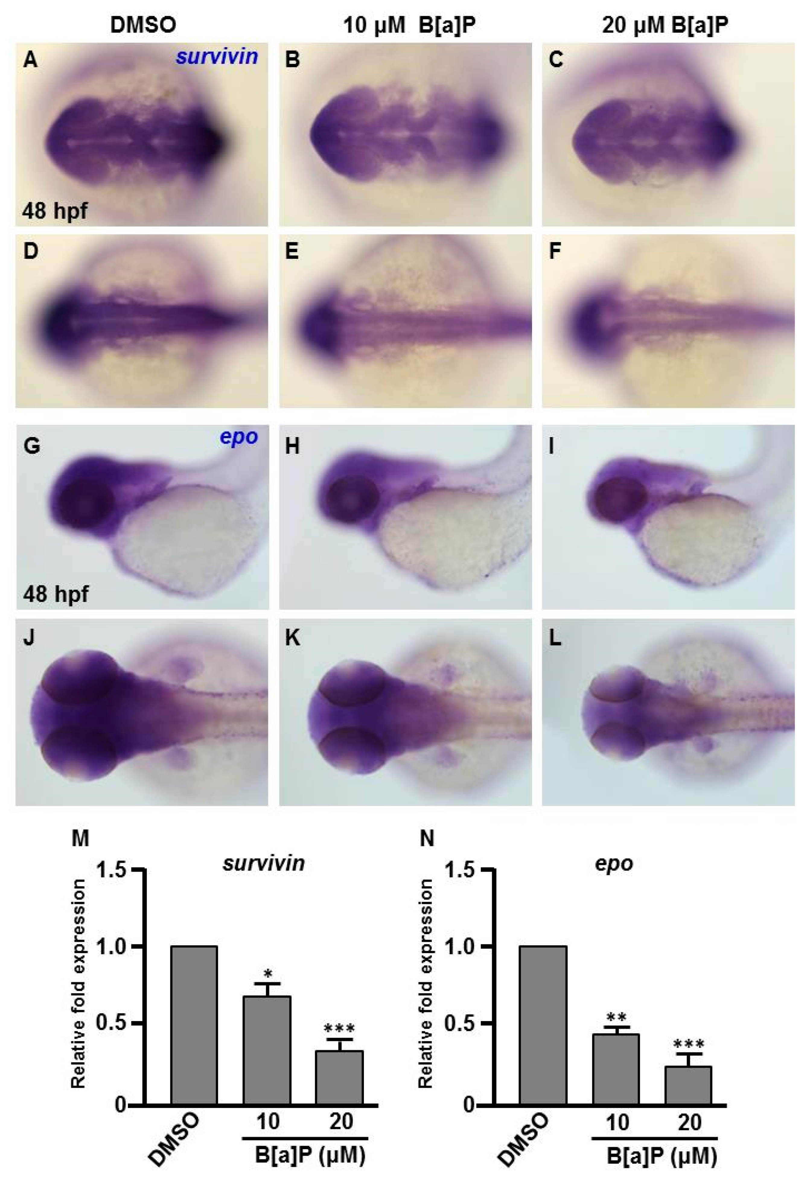 Antioxidants 09 00731 g006 Antioxidants 09 00731 g006