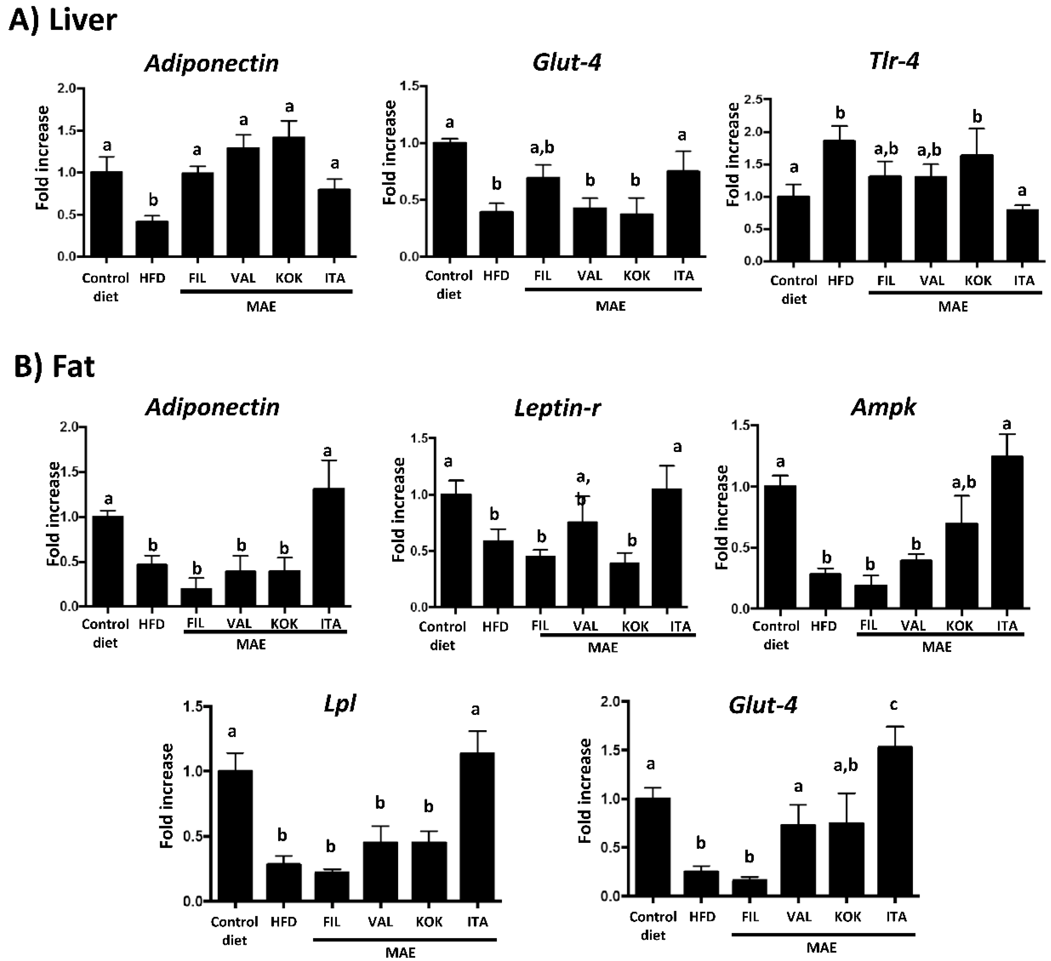 Antioxidants 09 00733 g007