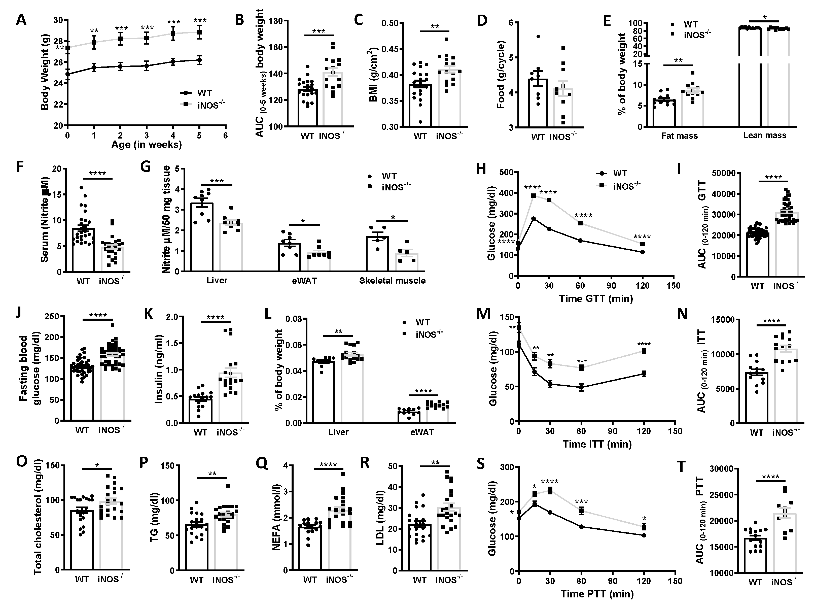 Antioxidants 09 00736 g001
