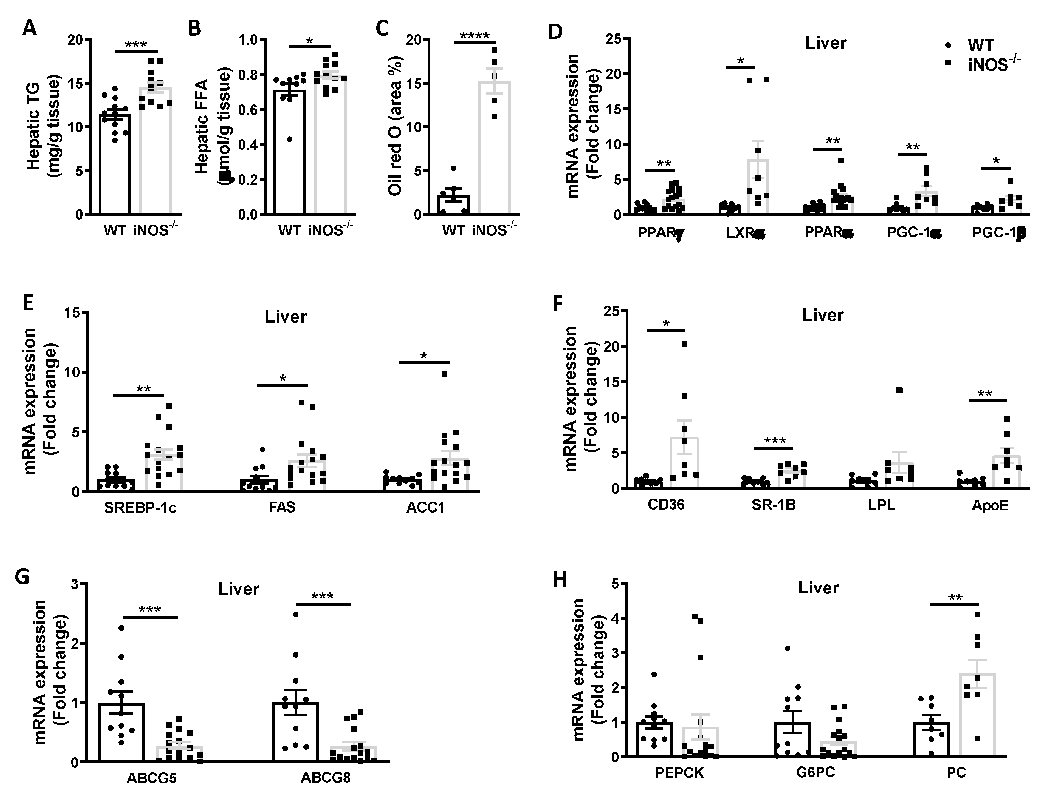 Antioxidants 09 00736 g002