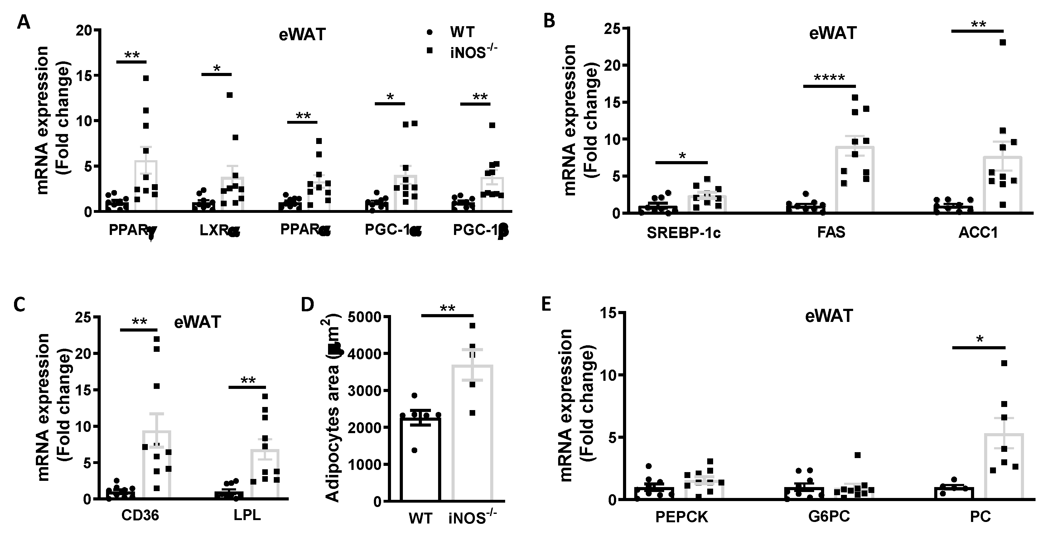 Antioxidants 09 00736 g003
