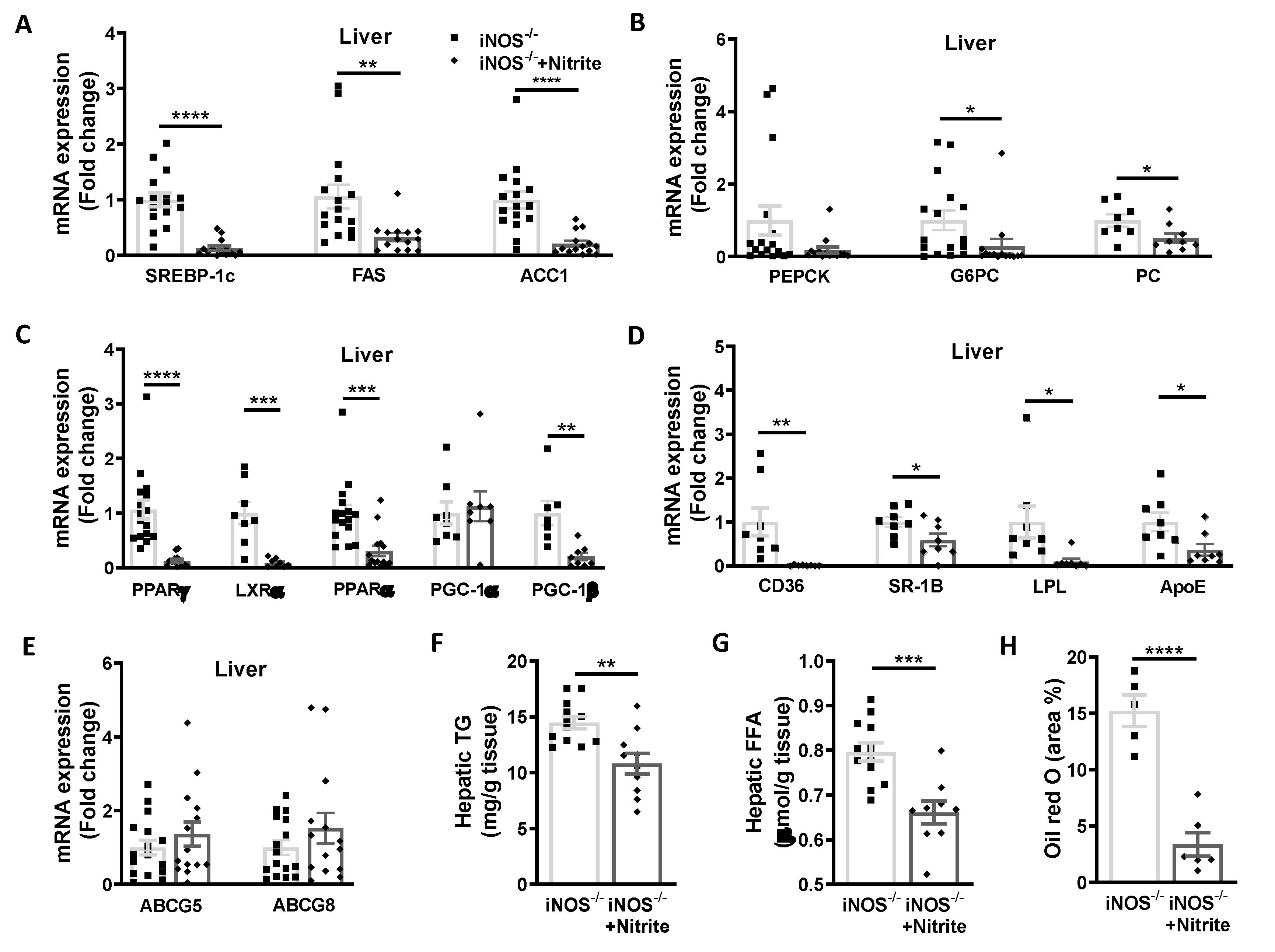 Antioxidants 09 00736 g004