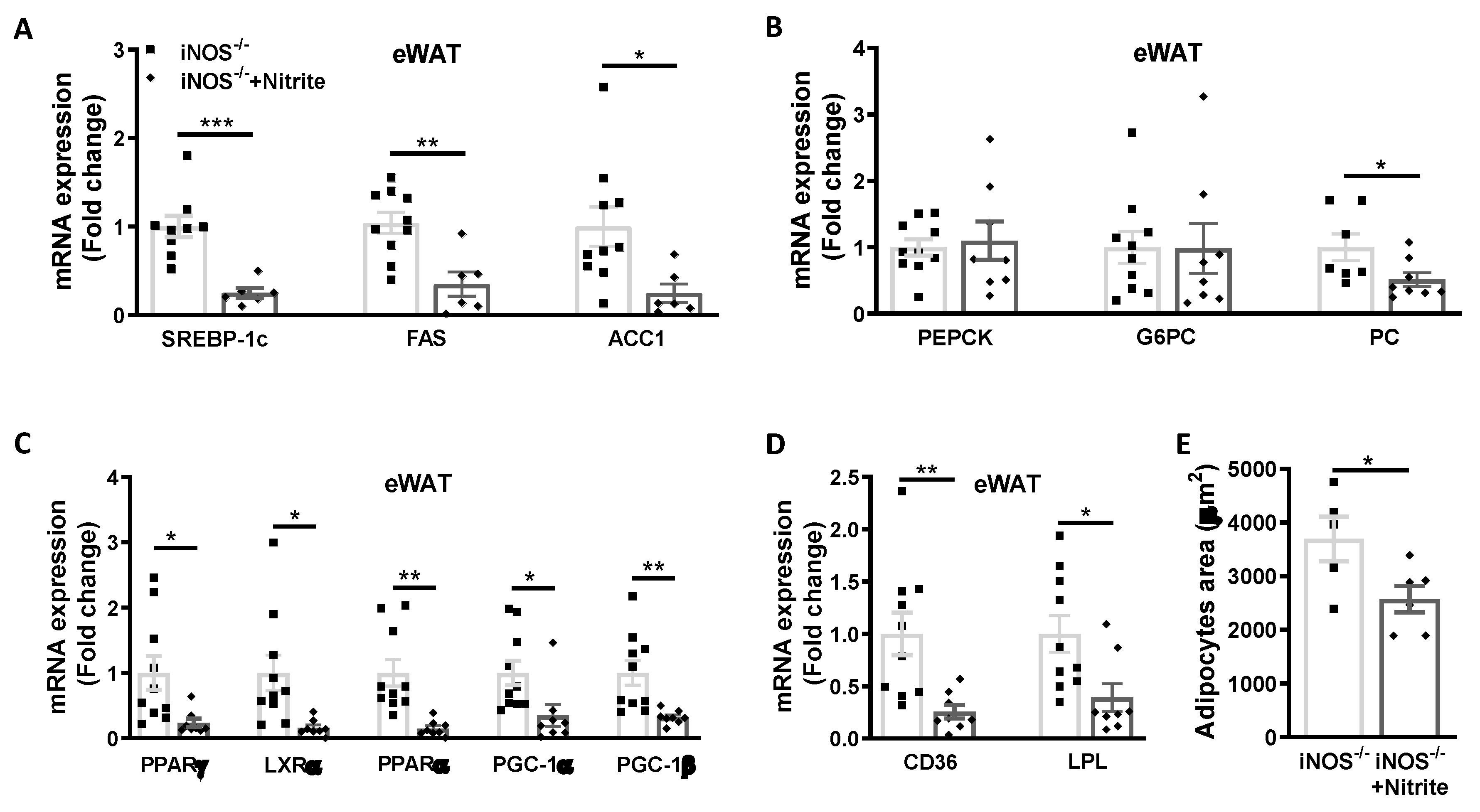 Antioxidants 09 00736 g005