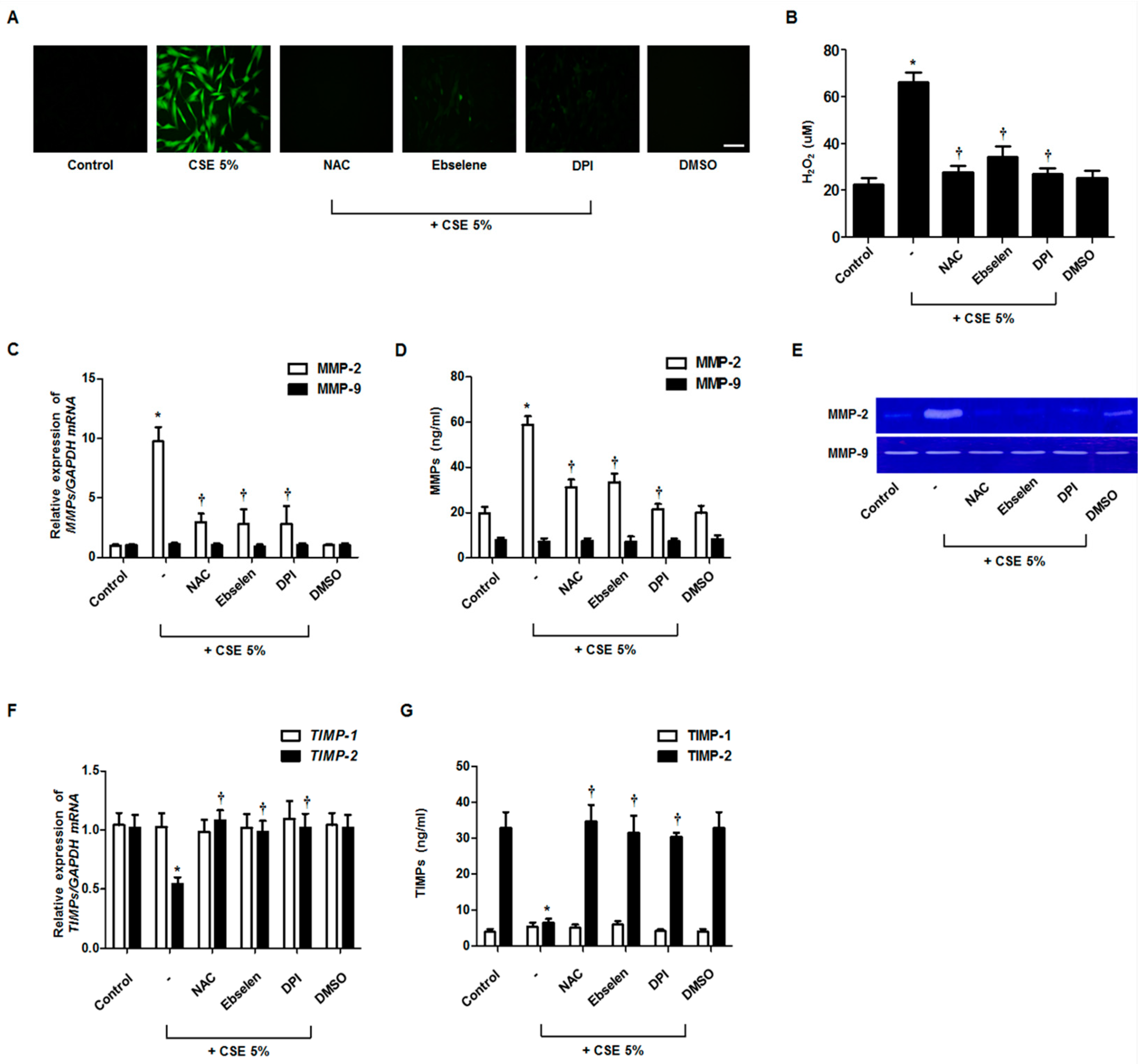 Antioxidants 09 00739 g002 Antioxidants 09 00739 g002