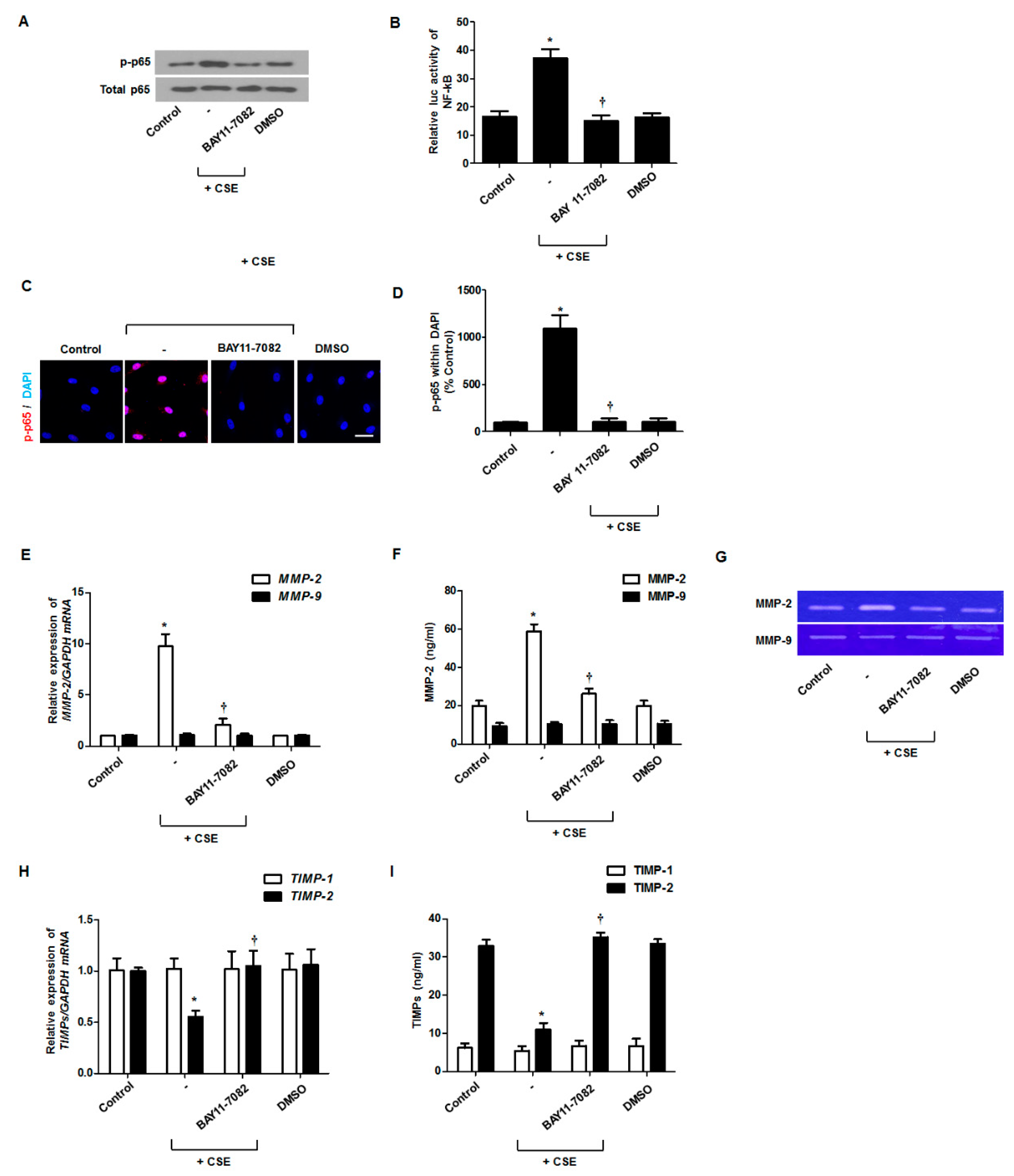 Antioxidants 09 00739 g004 Antioxidants 09 00739 g004