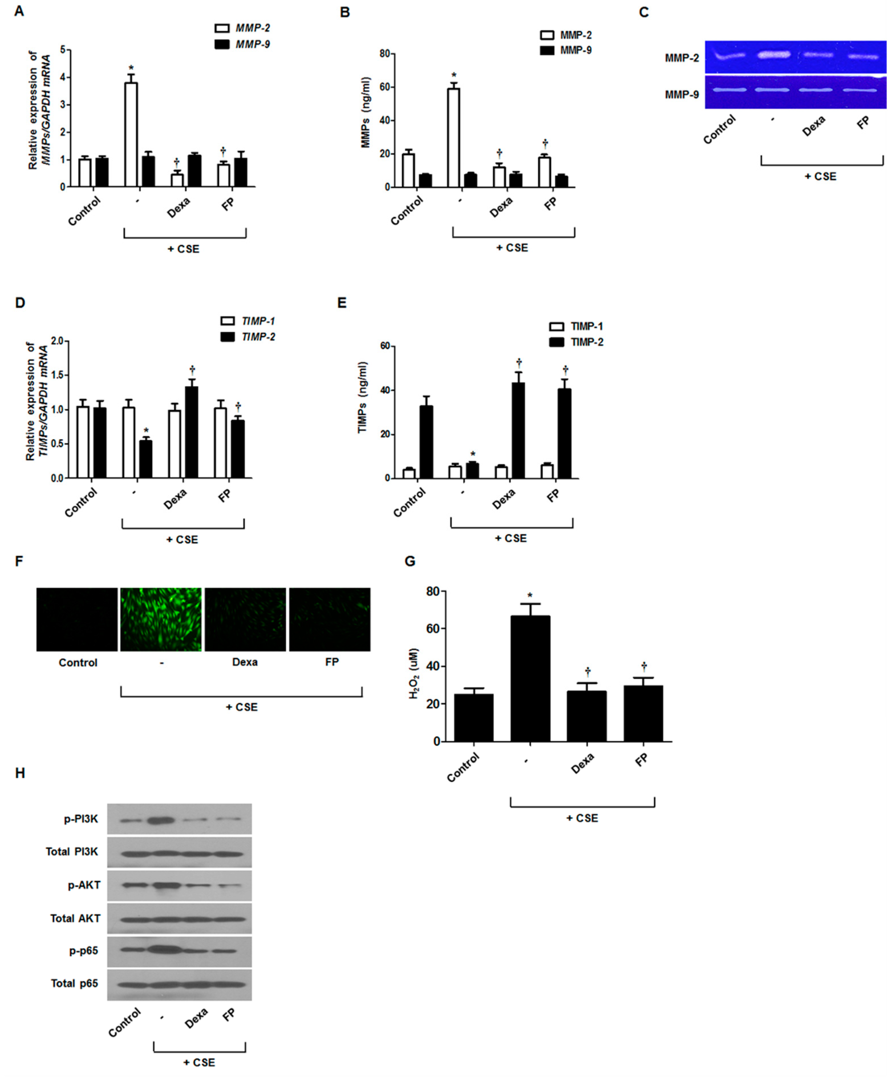 Antioxidants 09 00739 g005 Antioxidants 09 00739 g005
