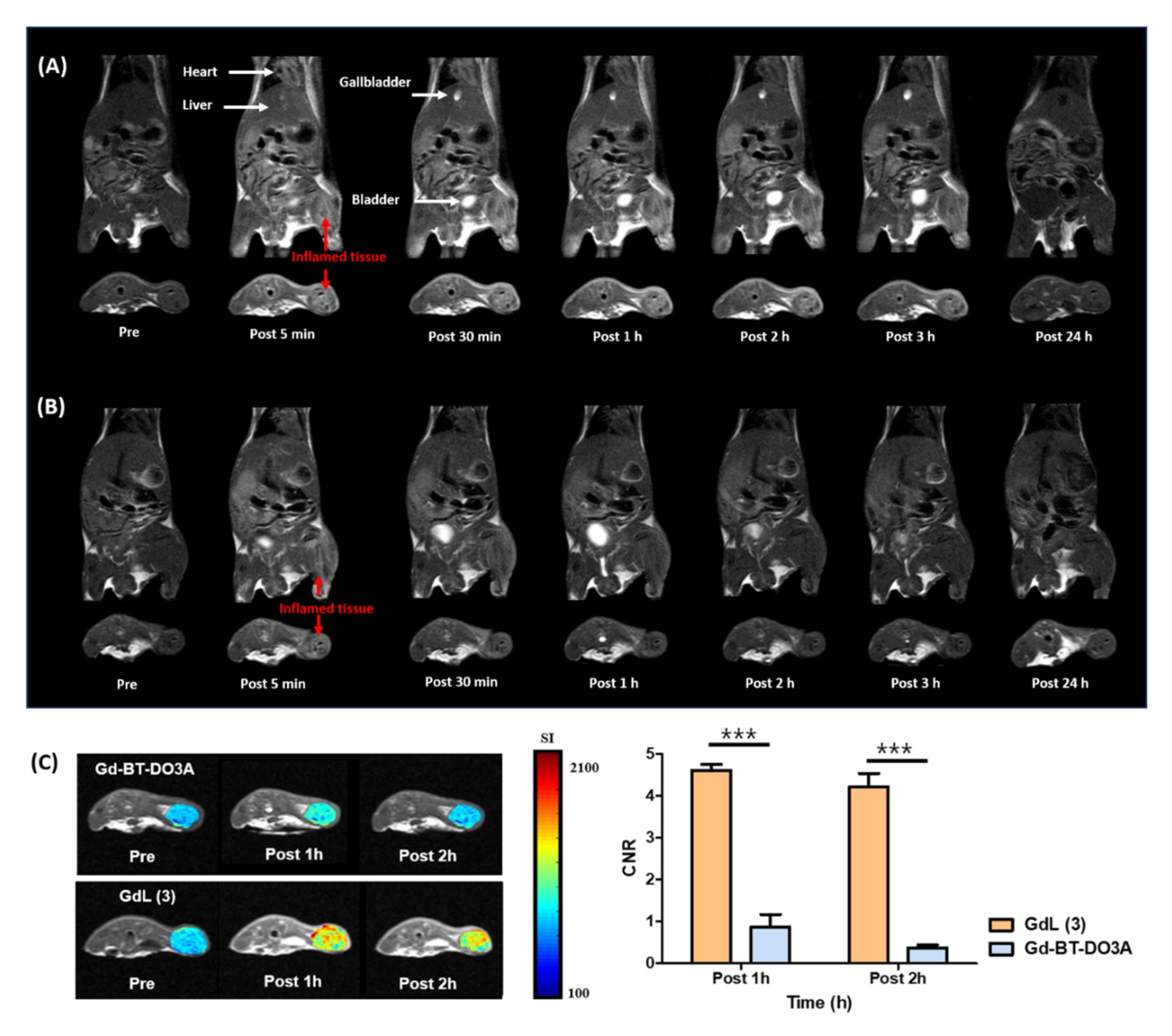 Antioxidants 09 00744 g003 Antioxidants 09 00744 g003
