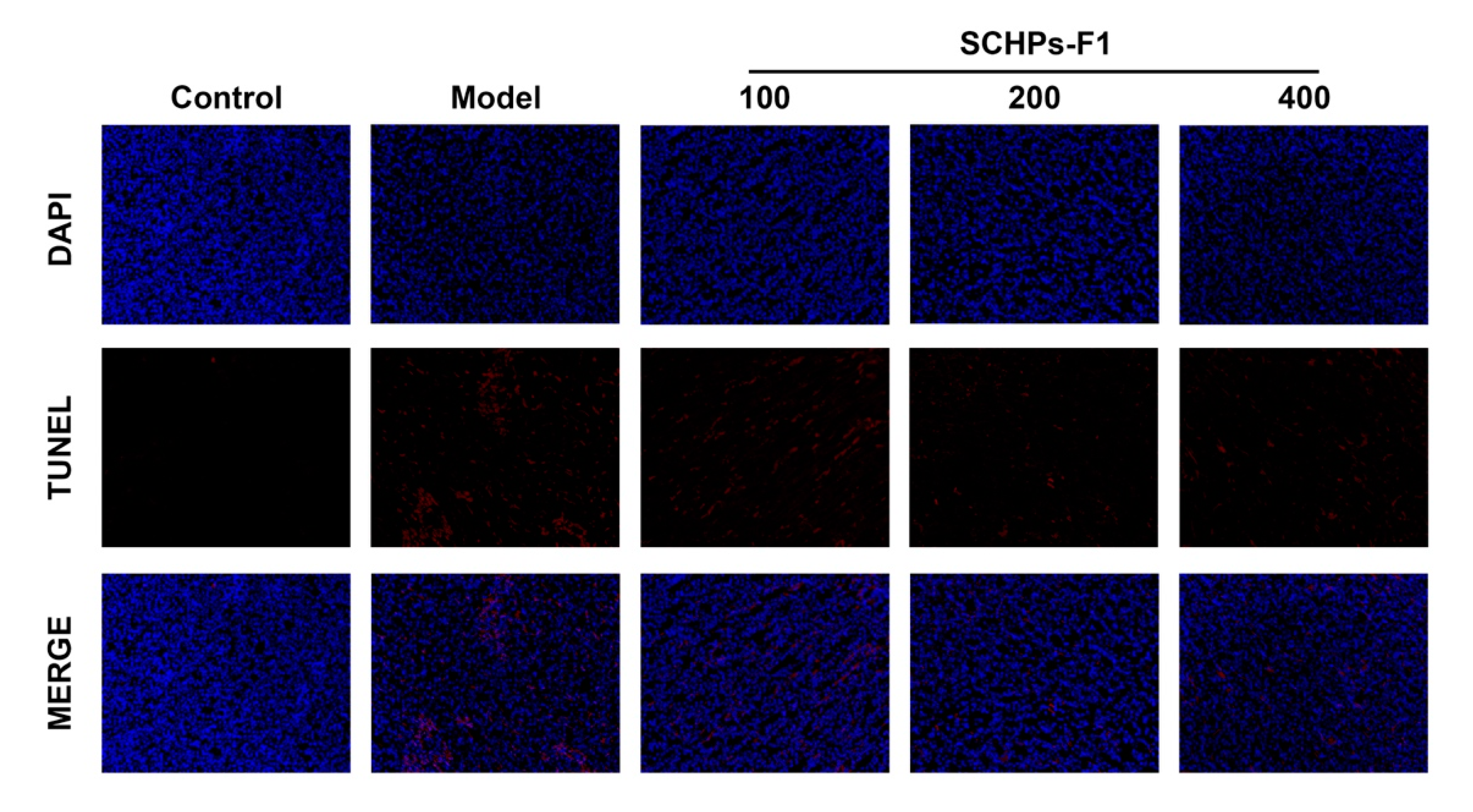 Antioxidants 09 00745 g006