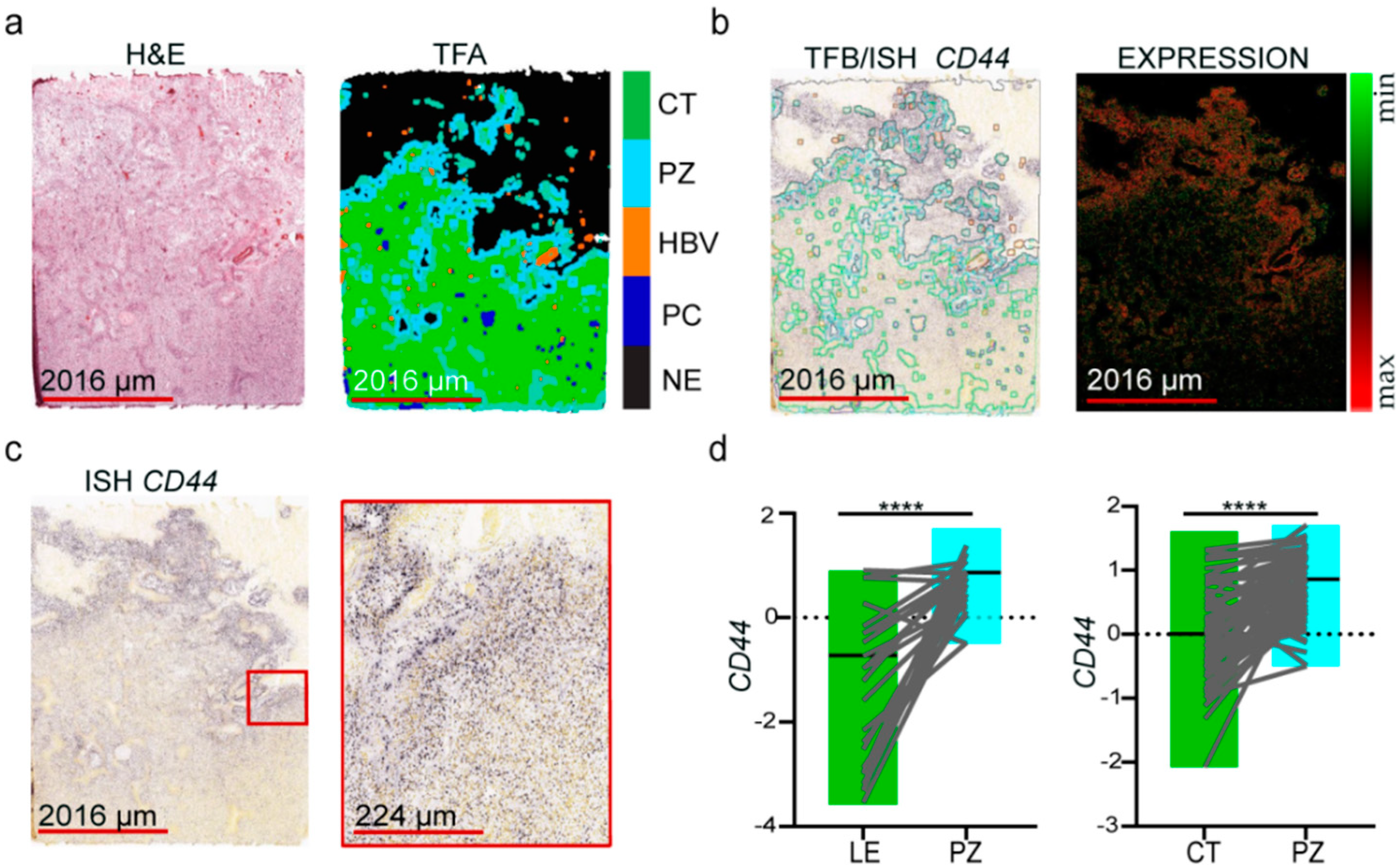 Antioxidants 09 00747 g001