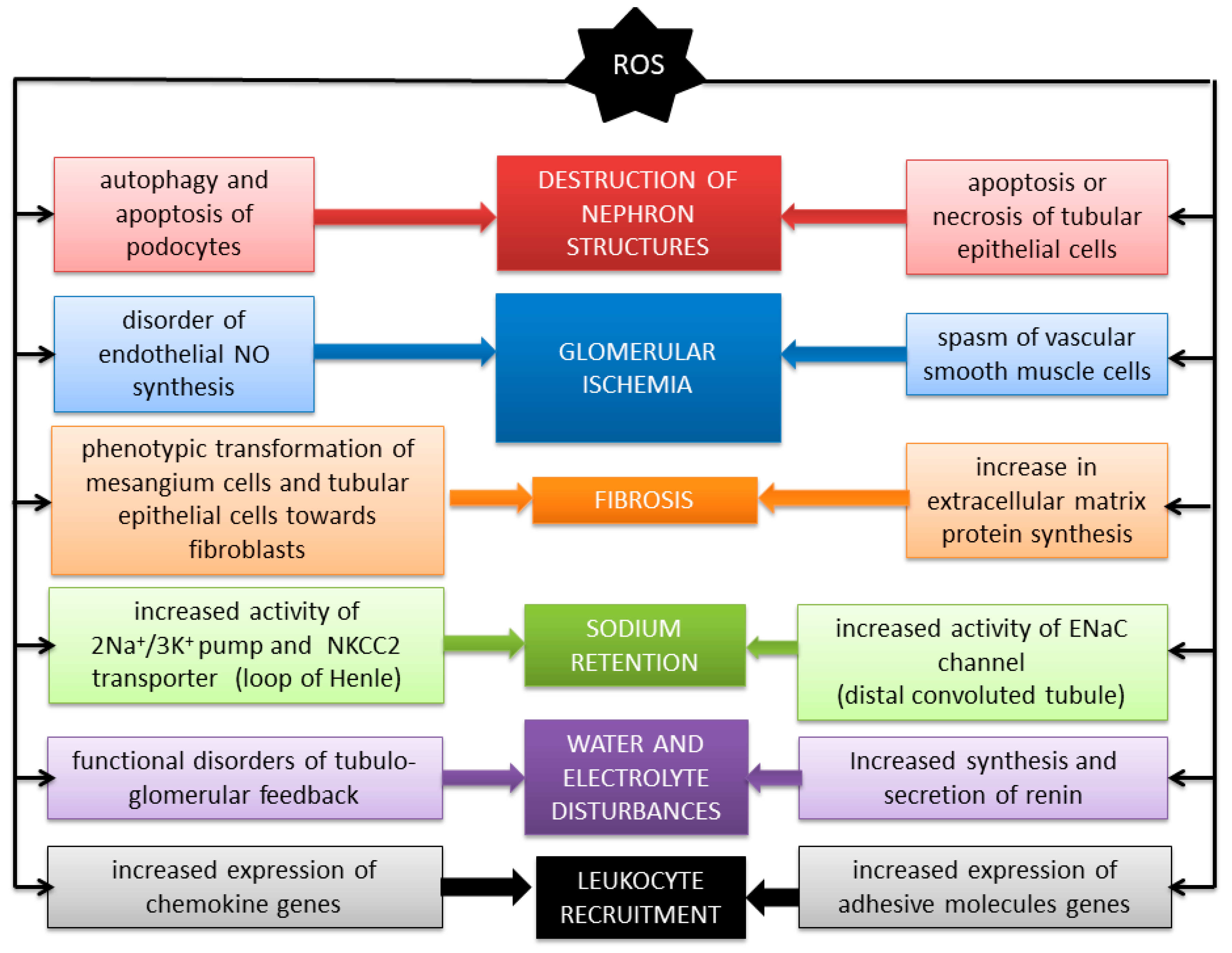 Antioxidants 09 00752 g001