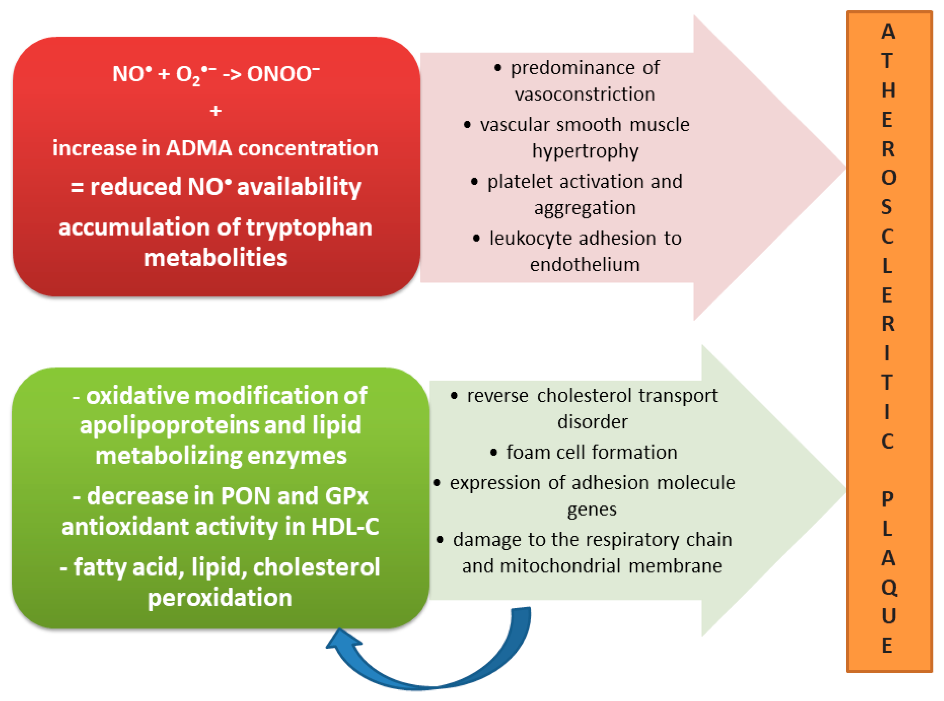 Antioxidants 09 00752 g003