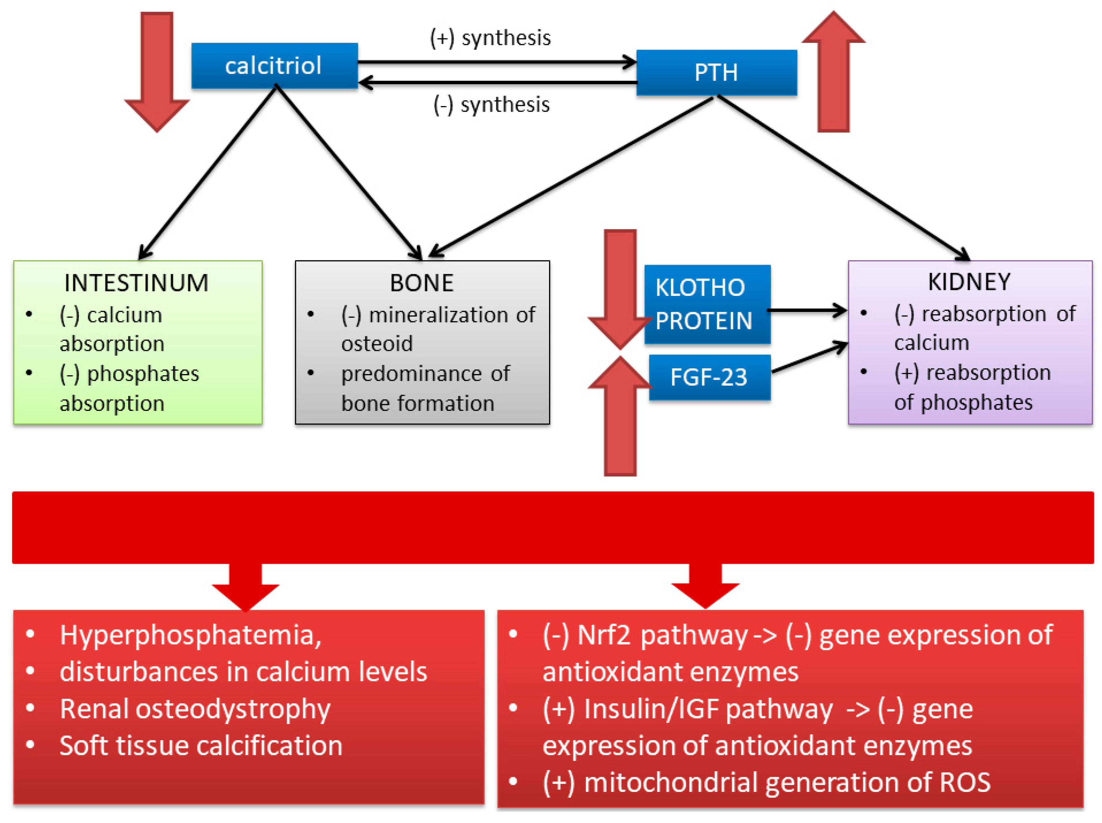 Antioxidants 09 00752 g004