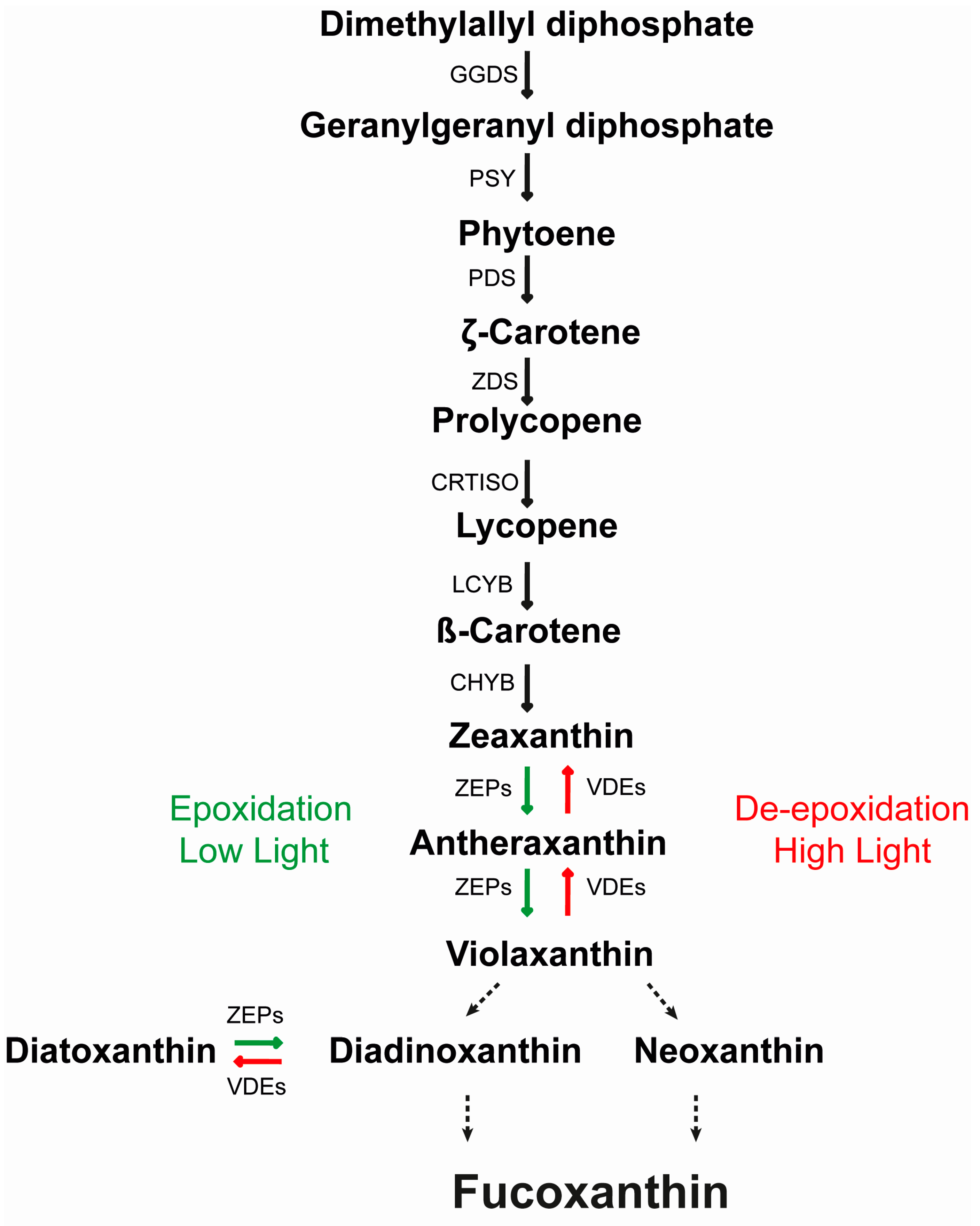 Antioxidants 09 00757 g001 Antioxidants 09 00757 g001