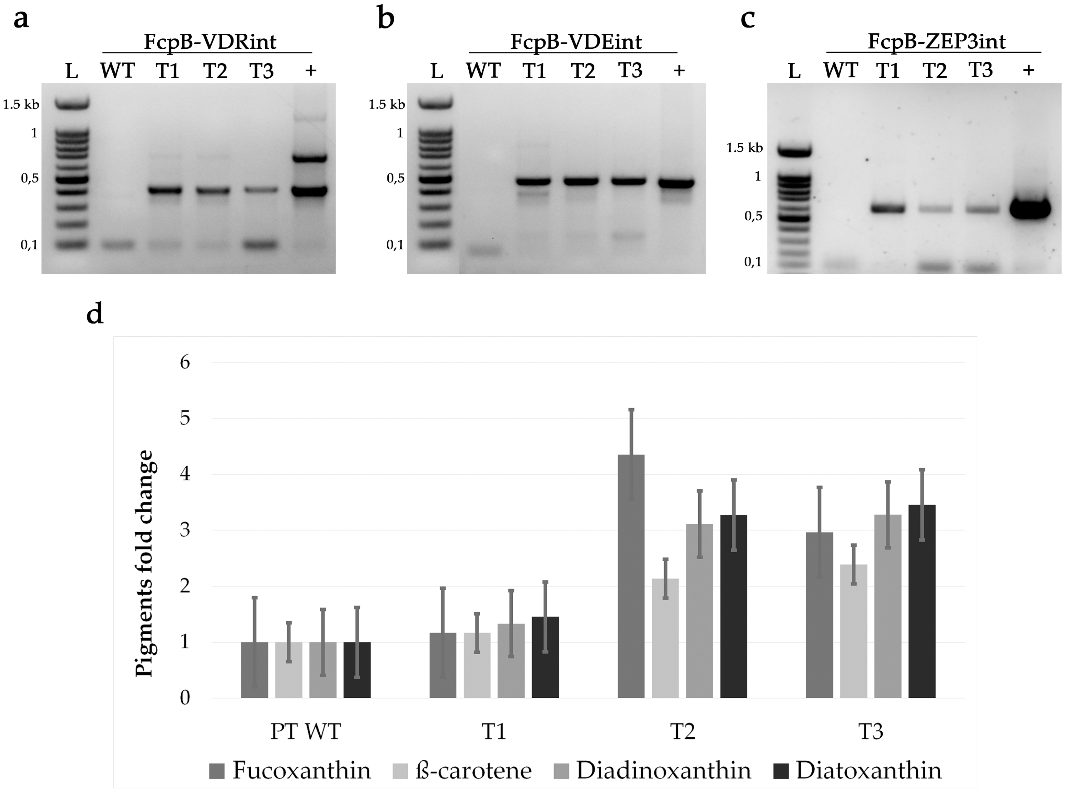 Antioxidants 09 00757 g003 Antioxidants 09 00757 g003