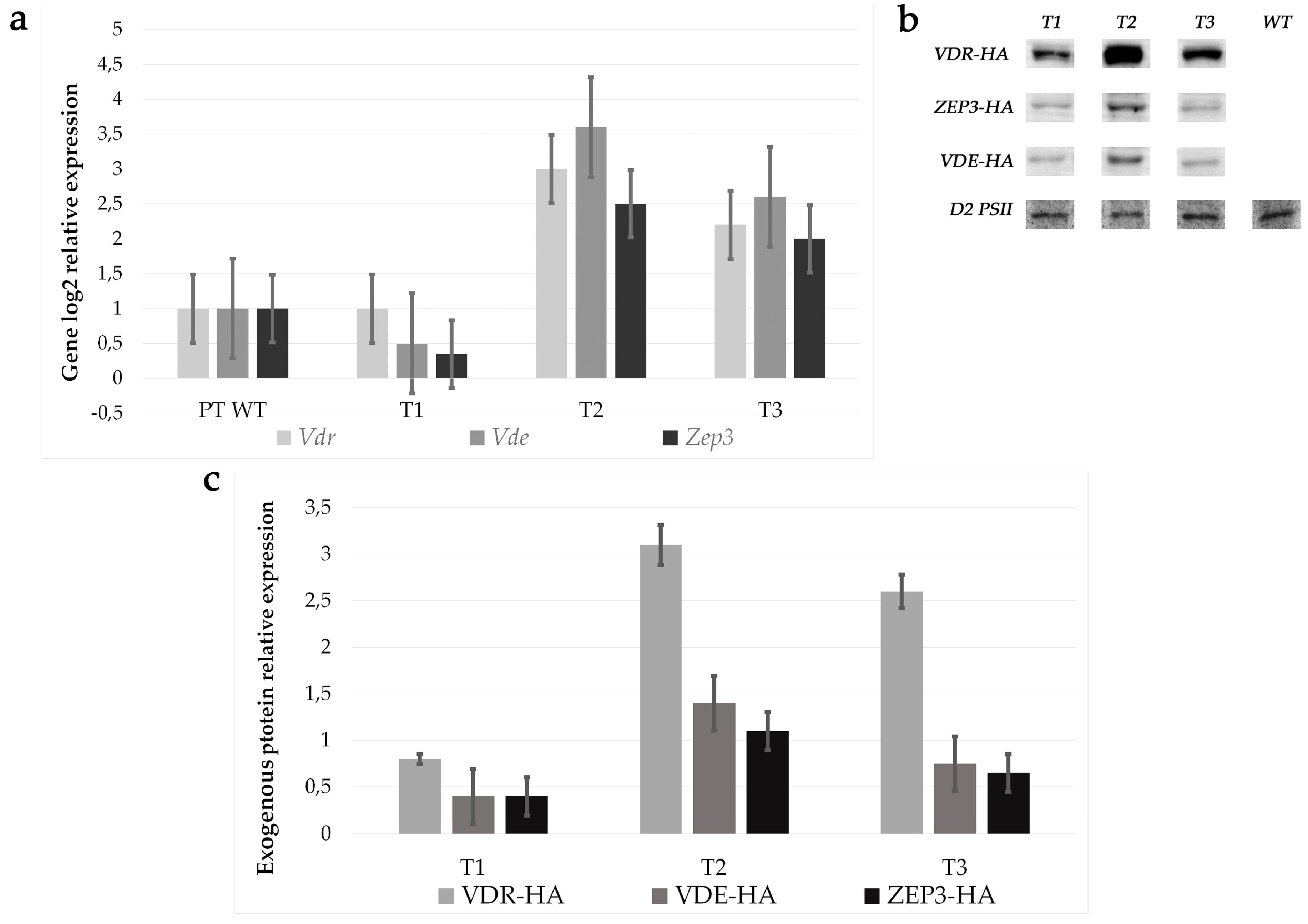 Antioxidants 09 00757 g004 Antioxidants 09 00757 g004