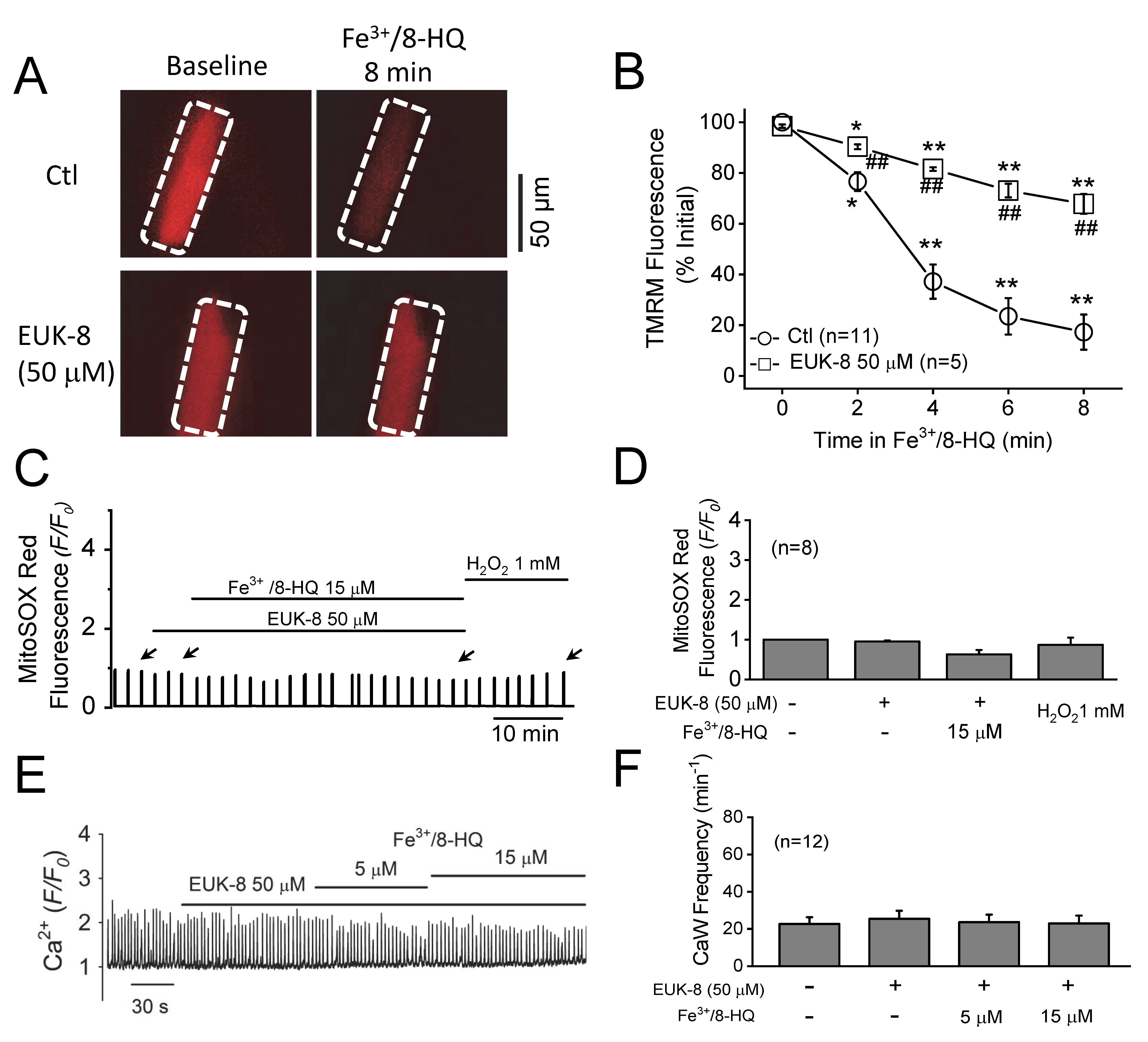 Antioxidants 09 00758 g005