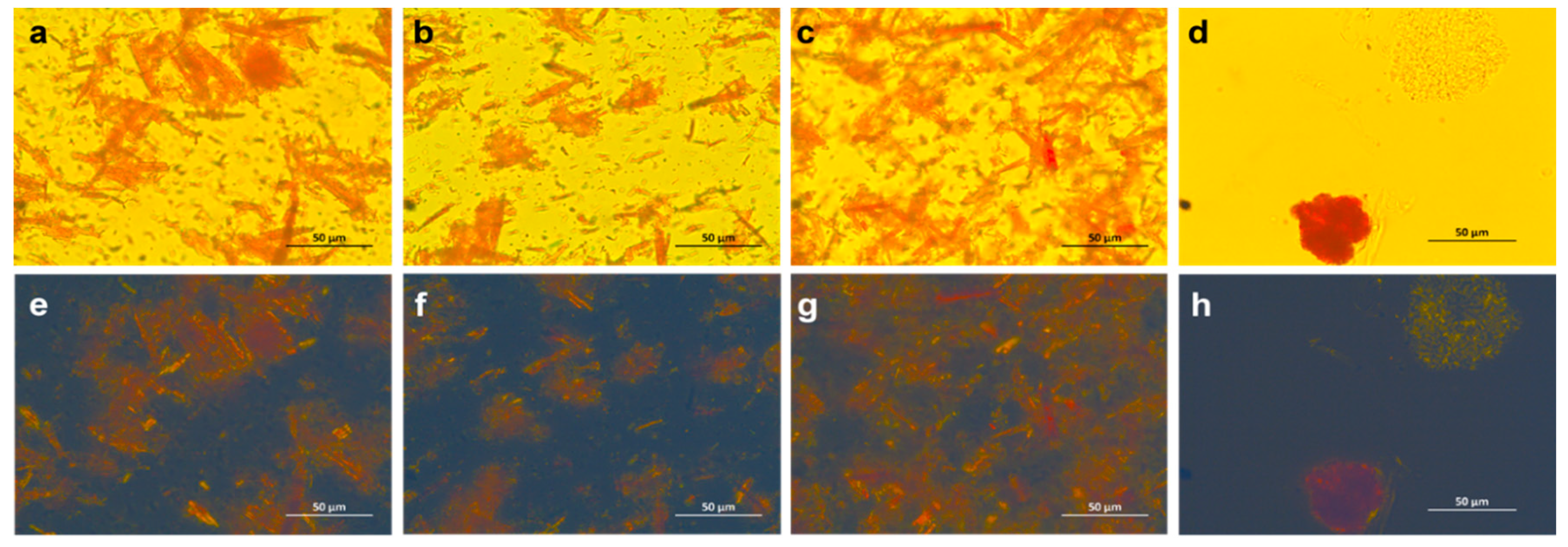 Antioxidants 09 00767 g003