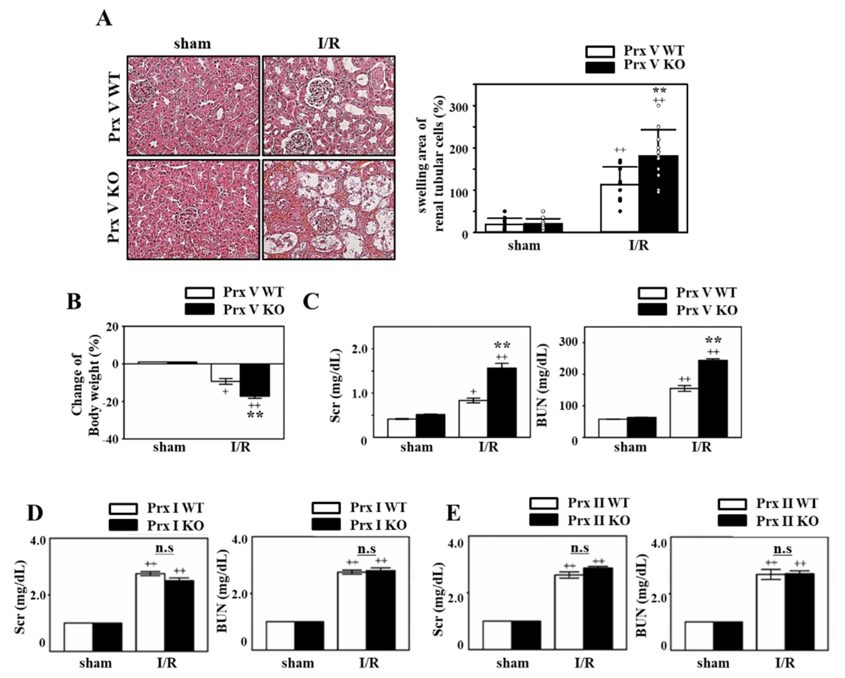 Antioxidants 09 00769 g002