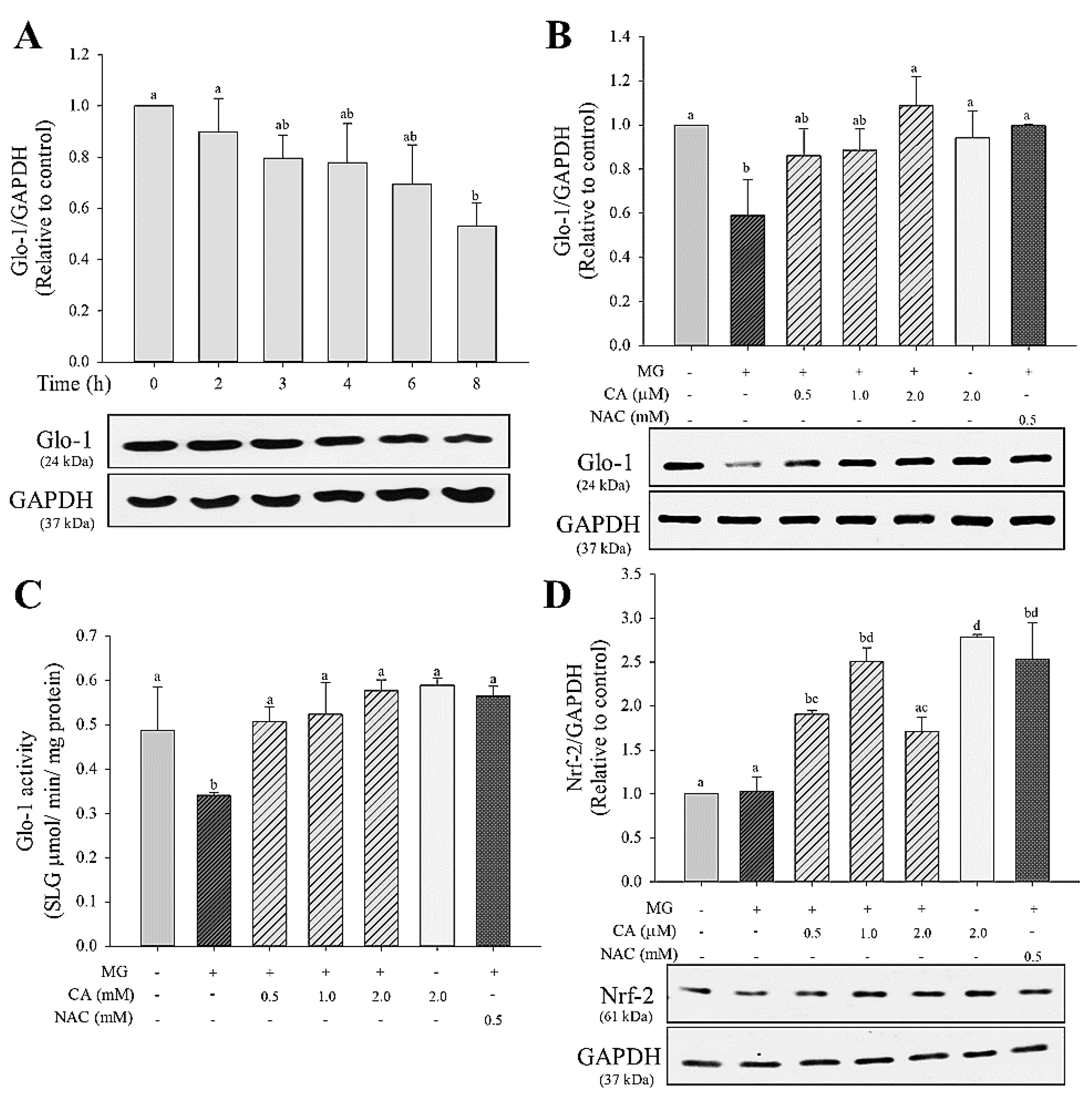 Antioxidants 09 00771 g003