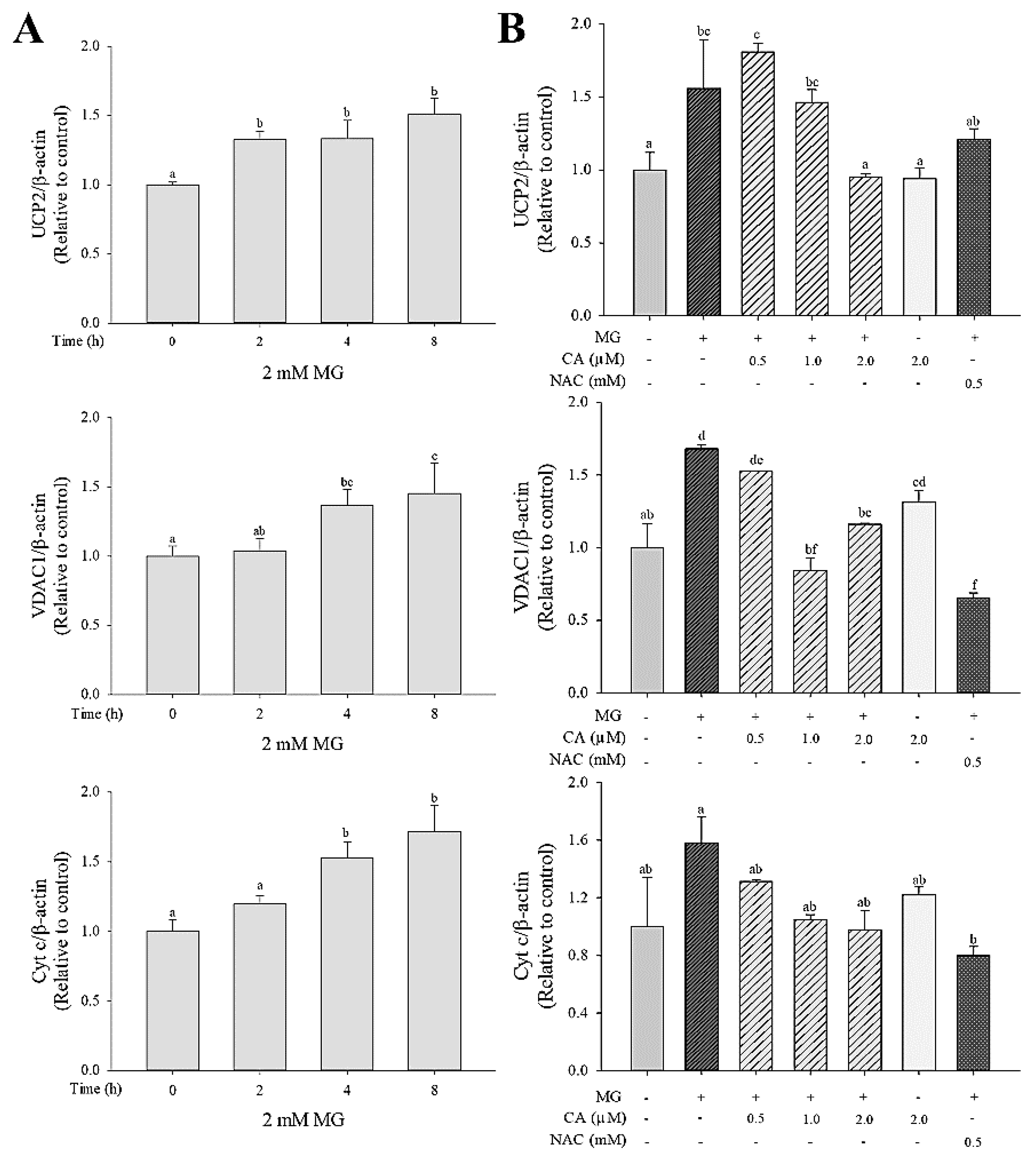 Antioxidants 09 00771 g005