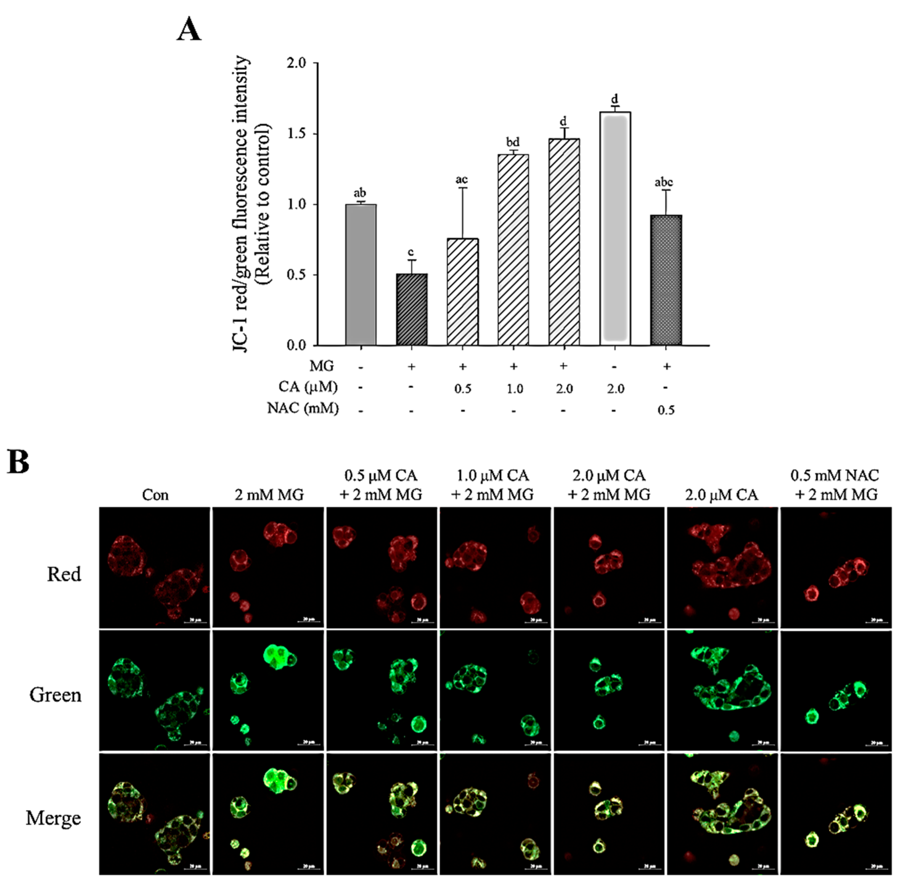 Antioxidants 09 00771 g006