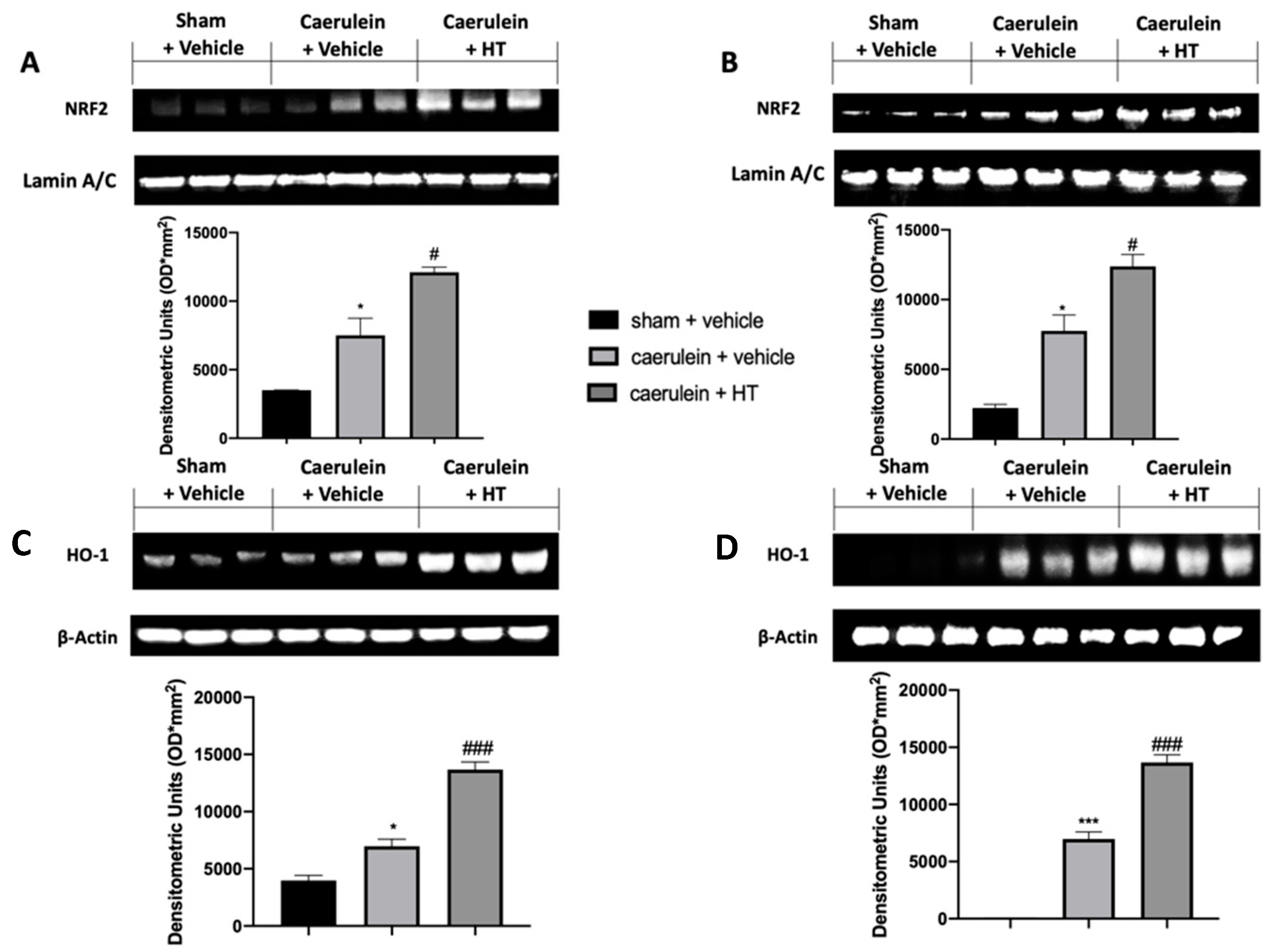 Antioxidants 09 00781 g003 Antioxidants 09 00781 g003