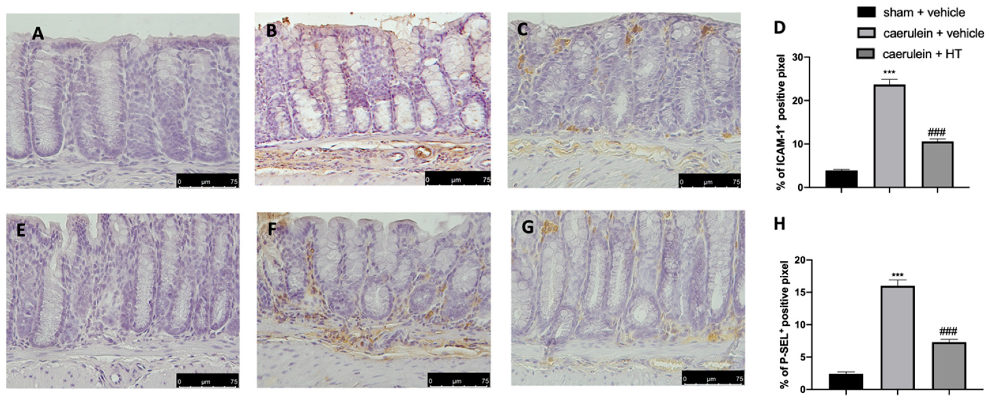 Antioxidants 09 00781 g007 Antioxidants 09 00781 g007