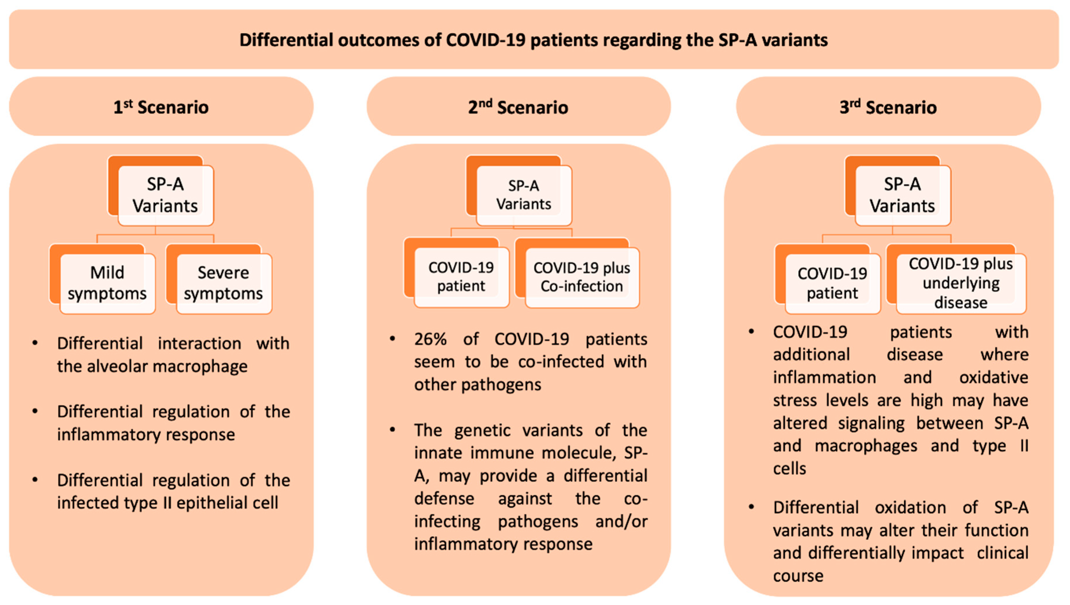 Antioxidants 09 00784 g006