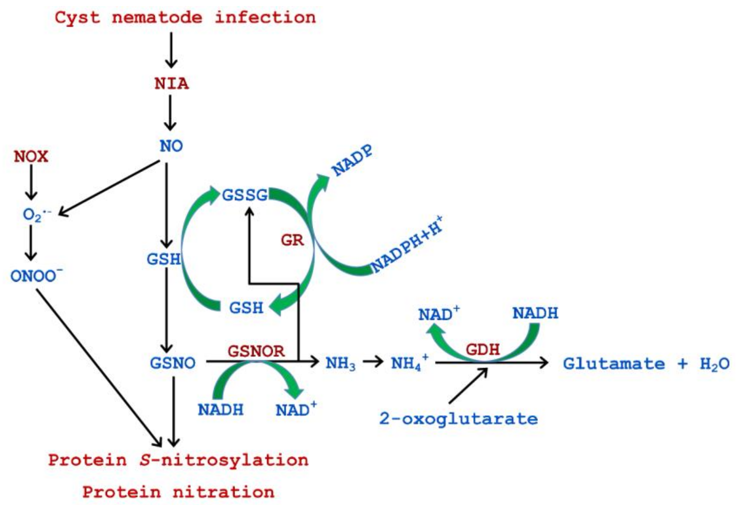 Antioxidants 09 00795 g010
