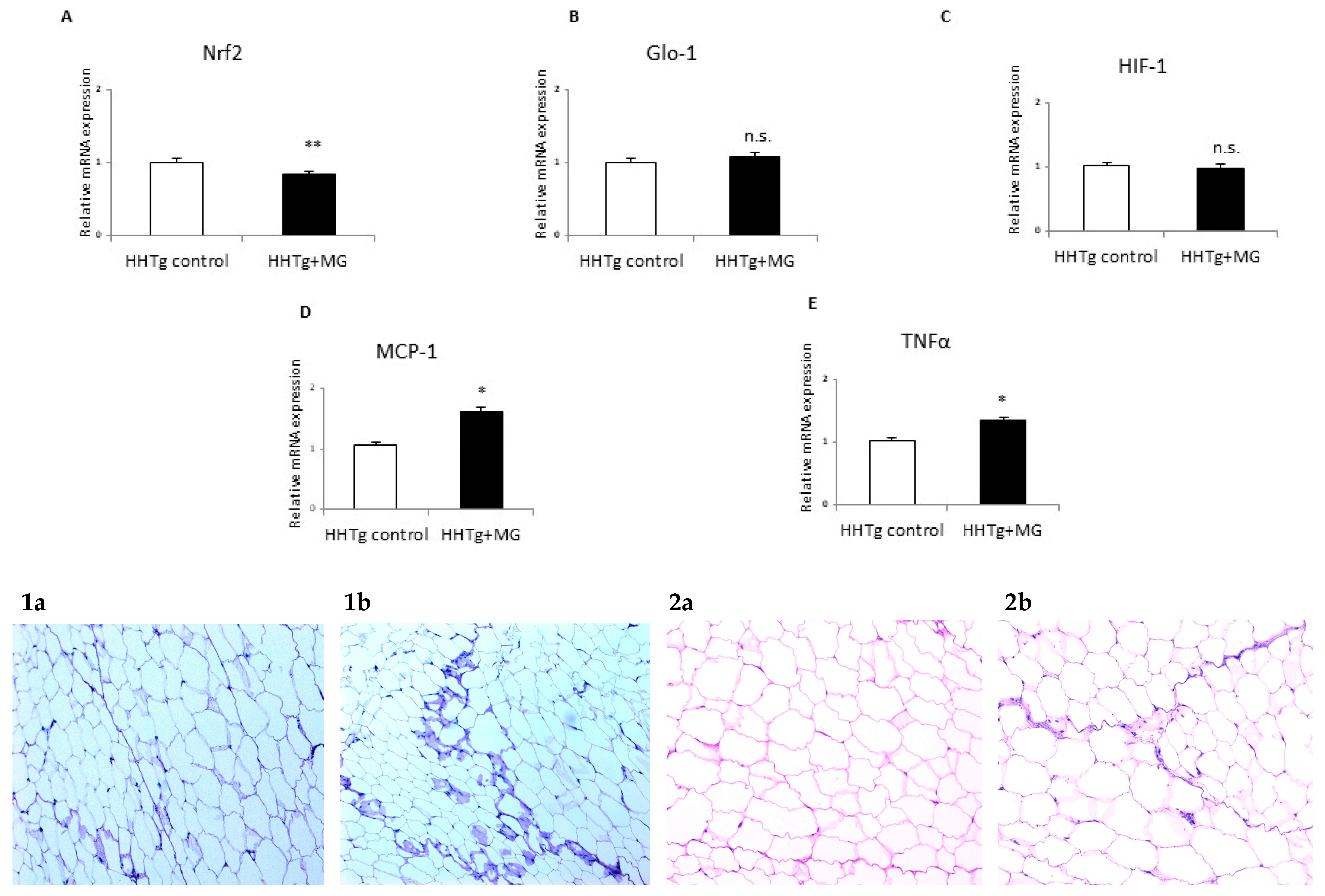 Antioxidants 09 00803 g002 Antioxidants 09 00803 g002