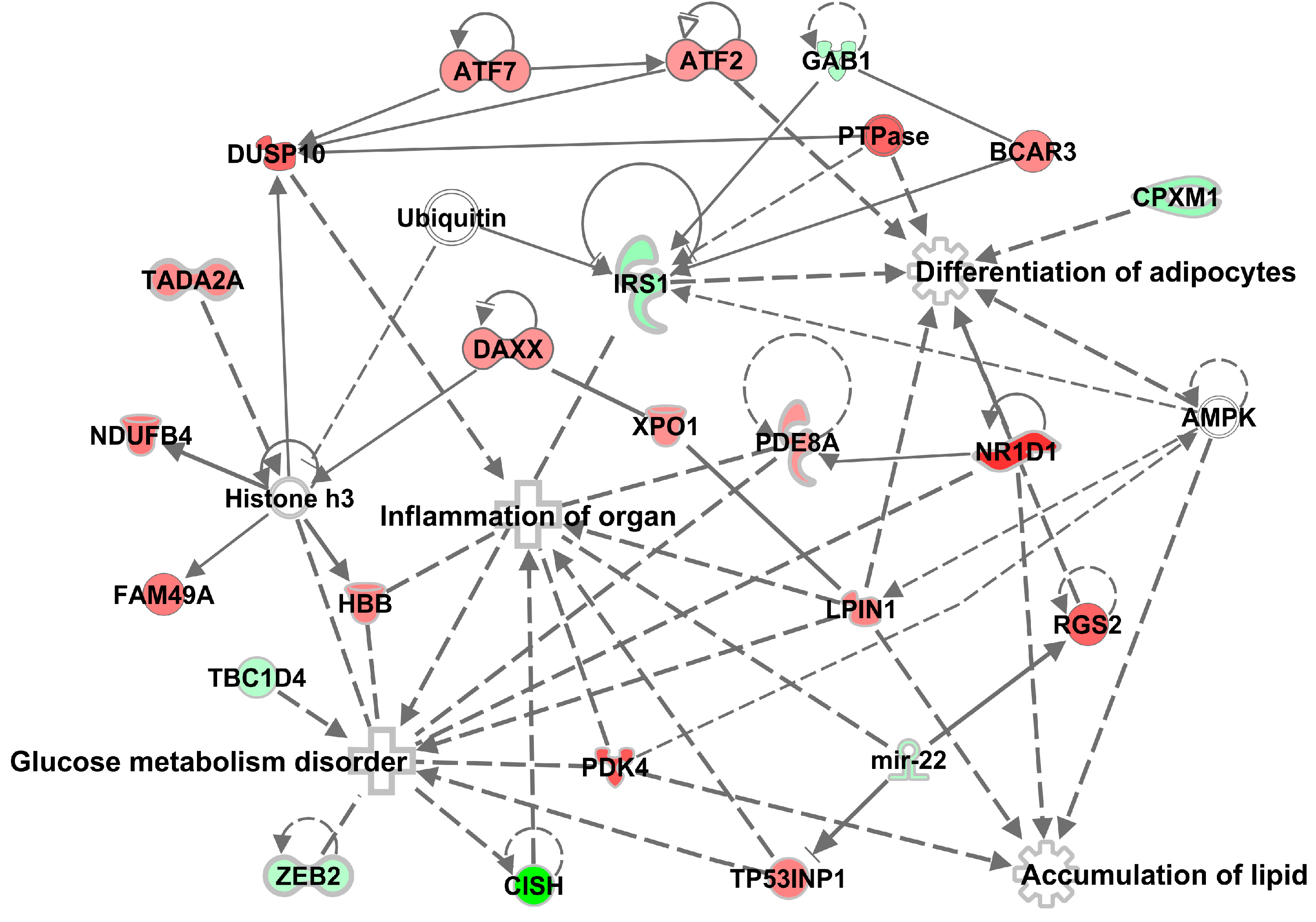 Antioxidants 09 00803 g003 Antioxidants 09 00803 g003
