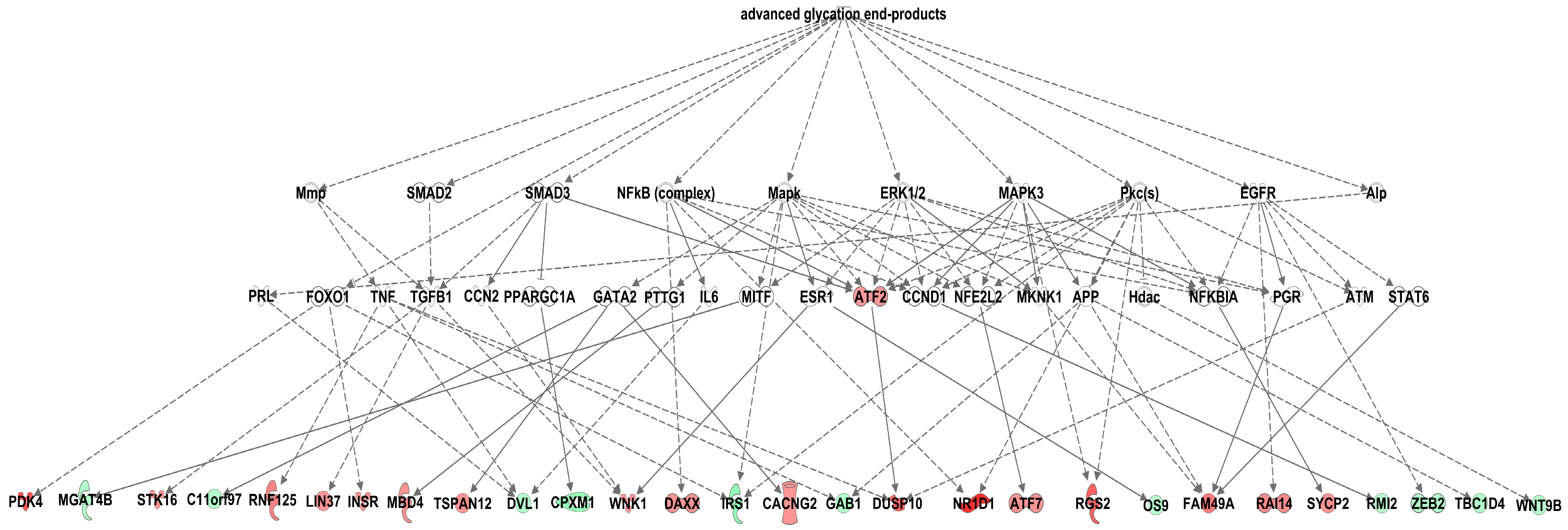 Antioxidants 09 00803 g004 Antioxidants 09 00803 g004