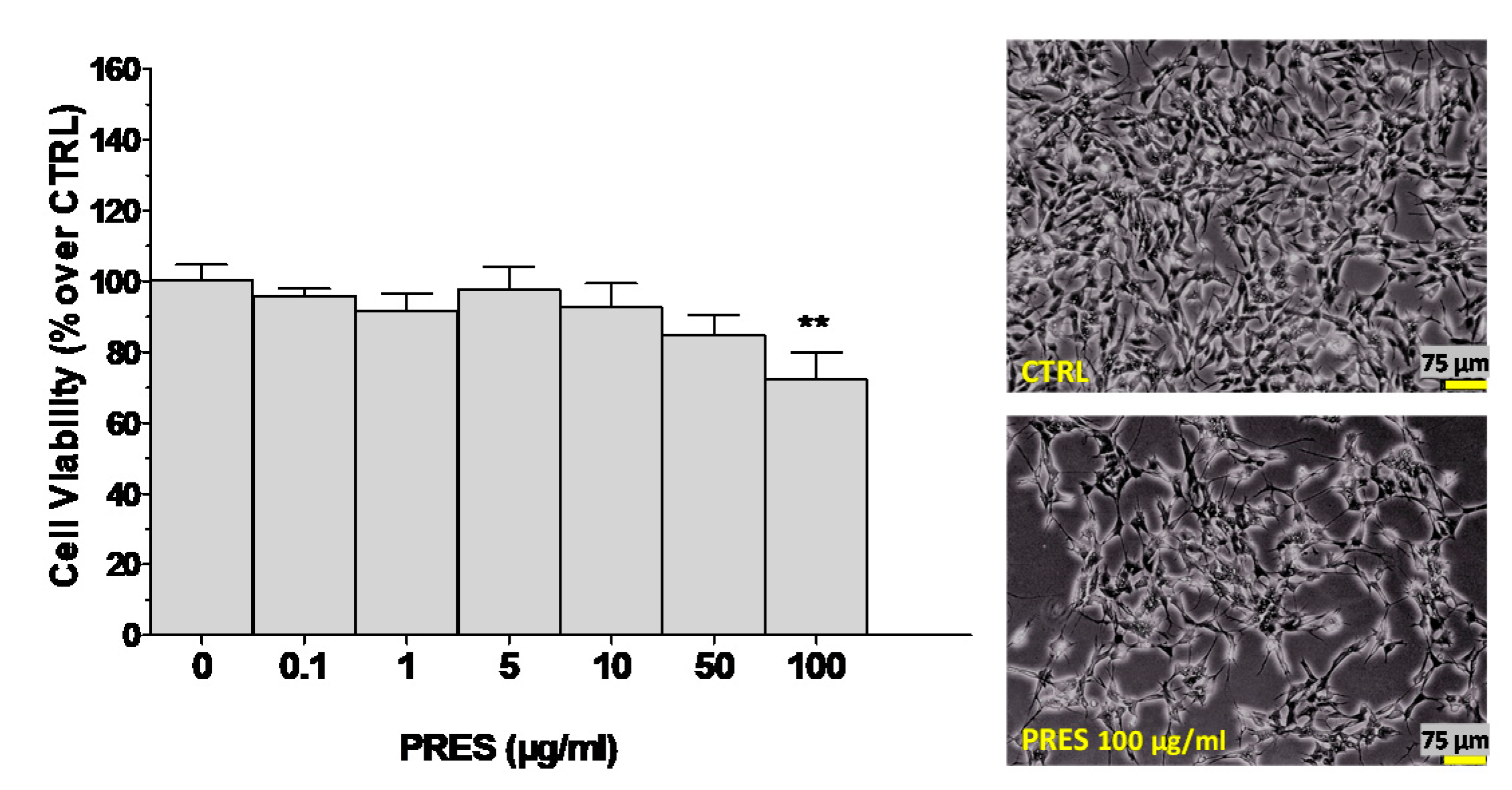Antioxidants 09 00806 g001