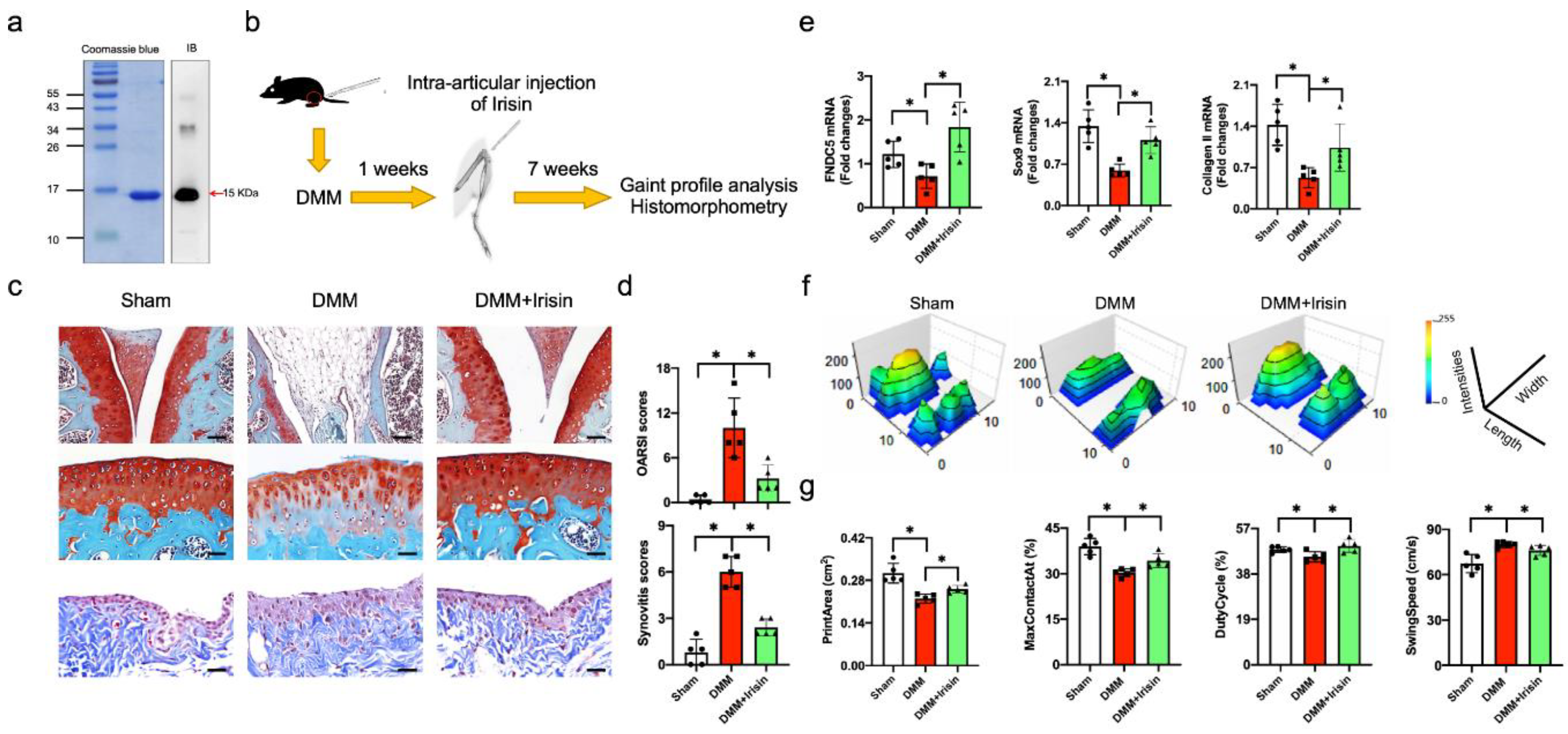 Antioxidants 09 00810 g002