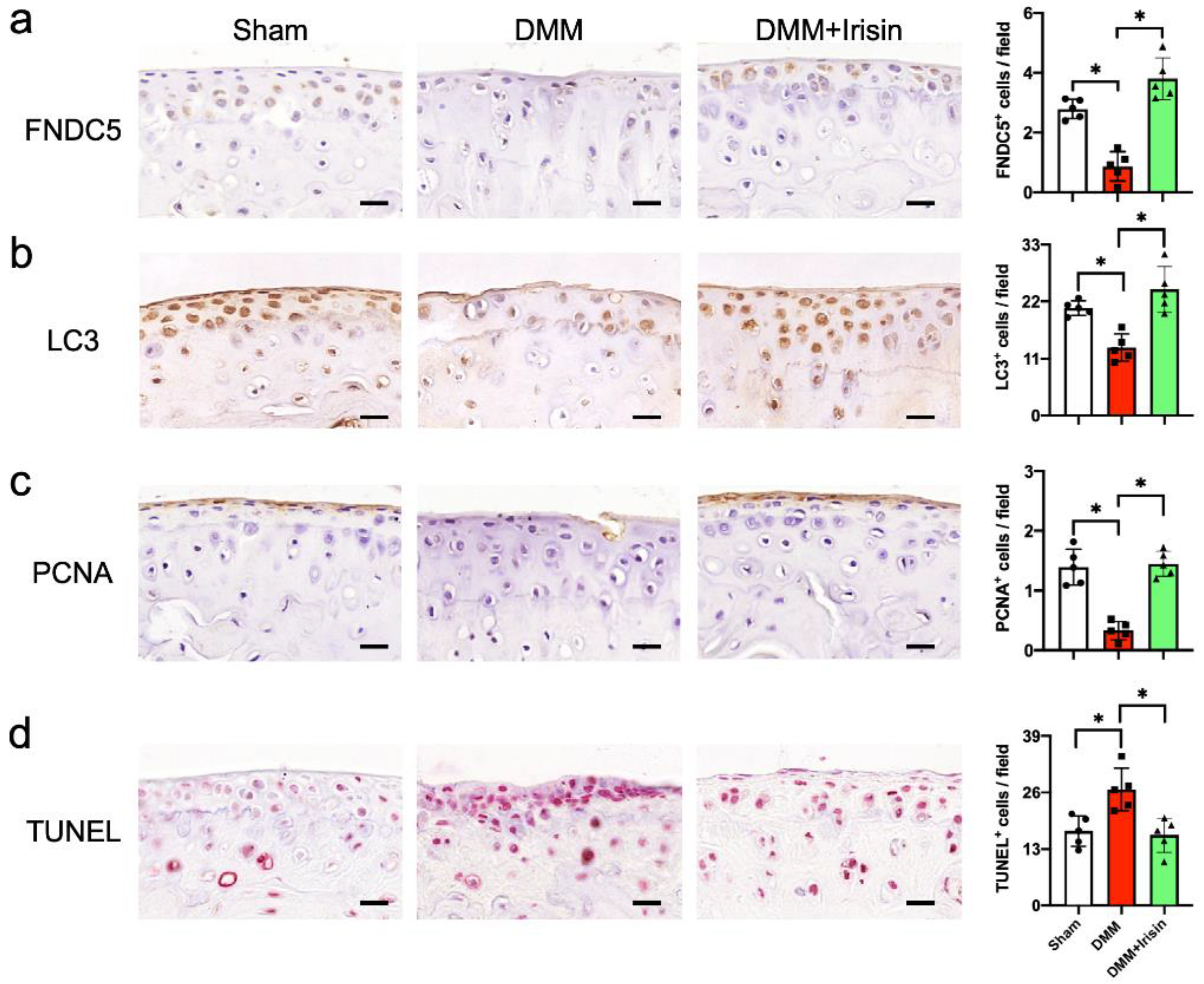 Antioxidants 09 00810 g003