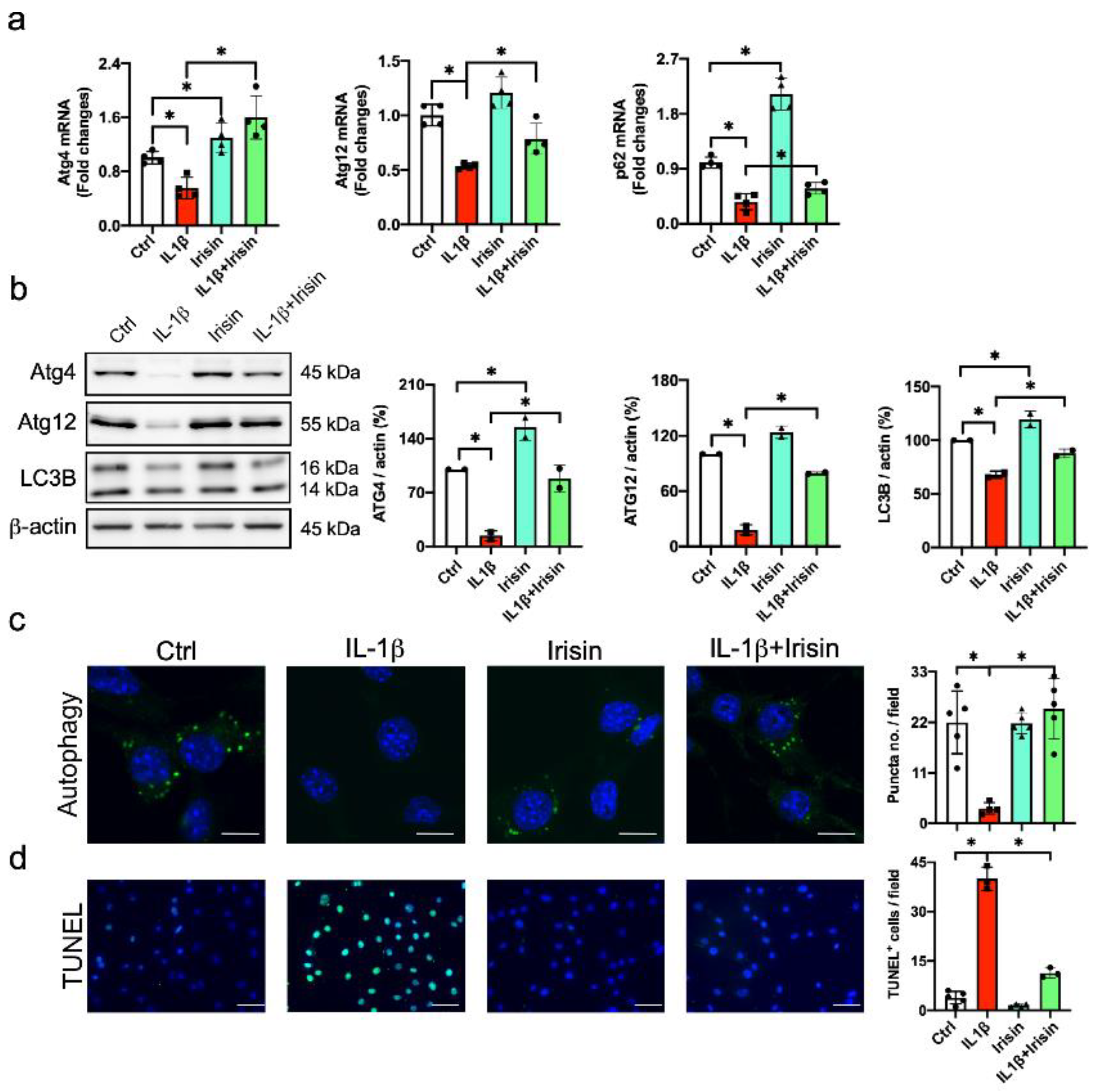 Antioxidants 09 00810 g005