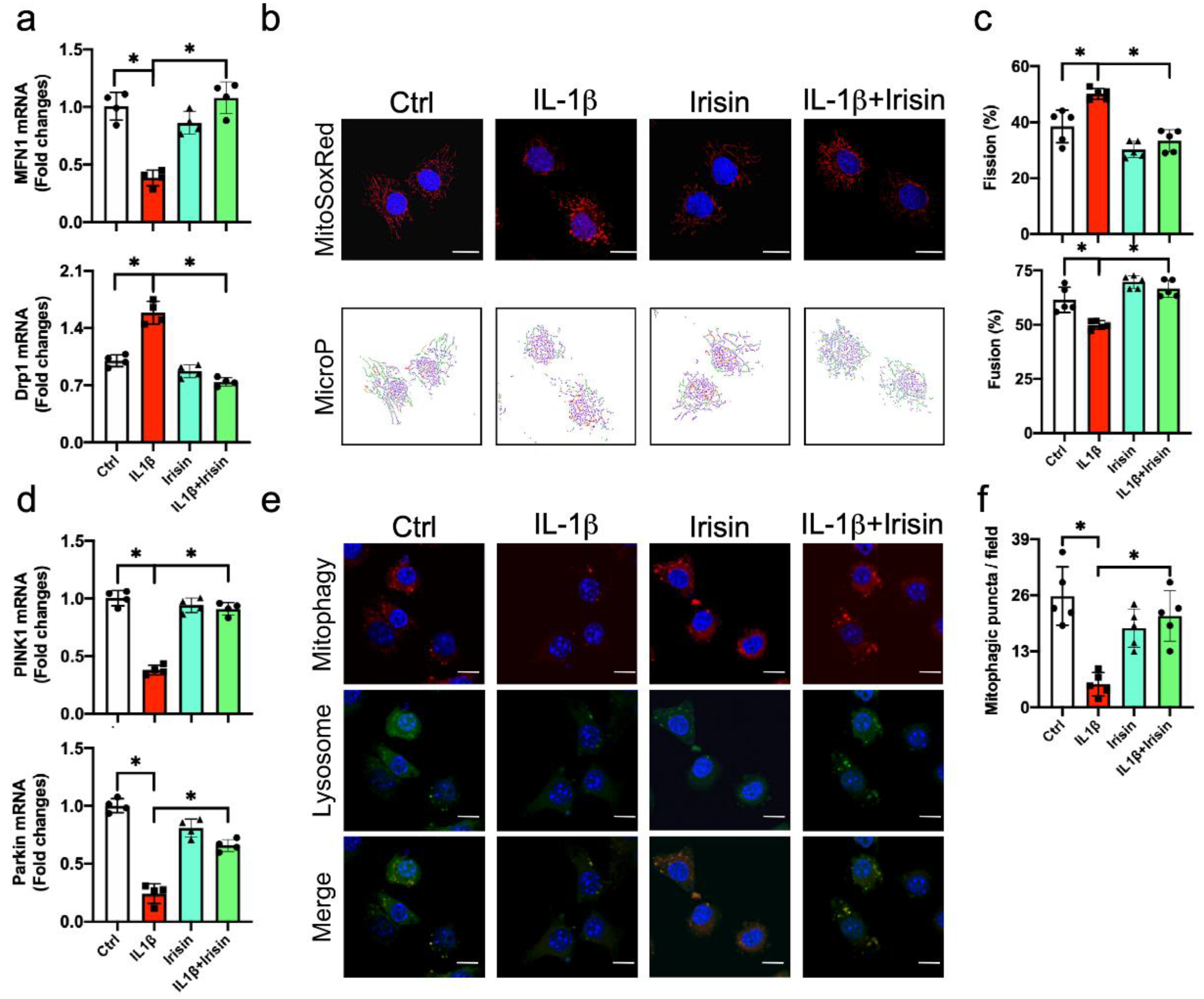Antioxidants 09 00810 g006