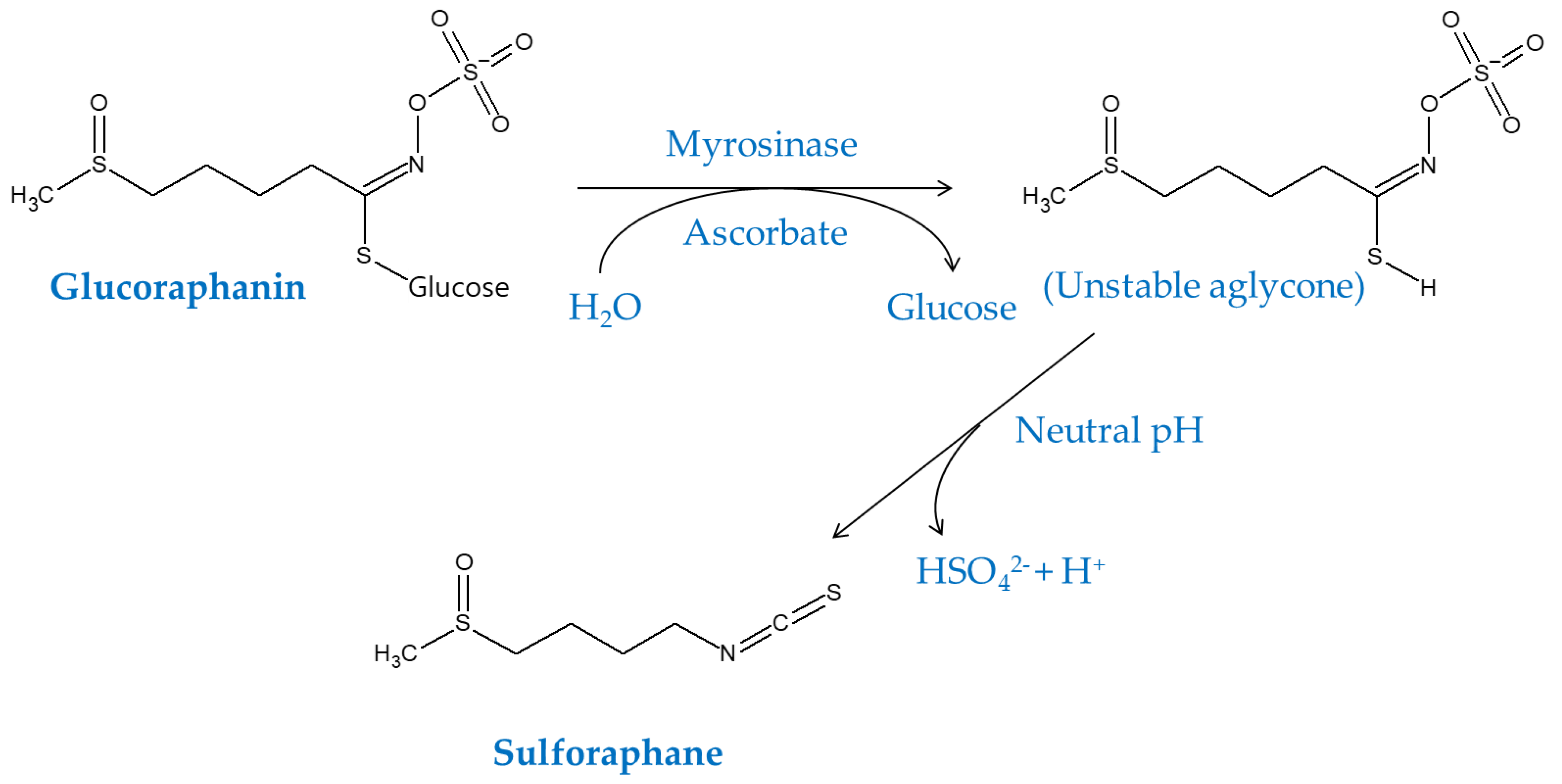 Antioxidants 09 00812 g006