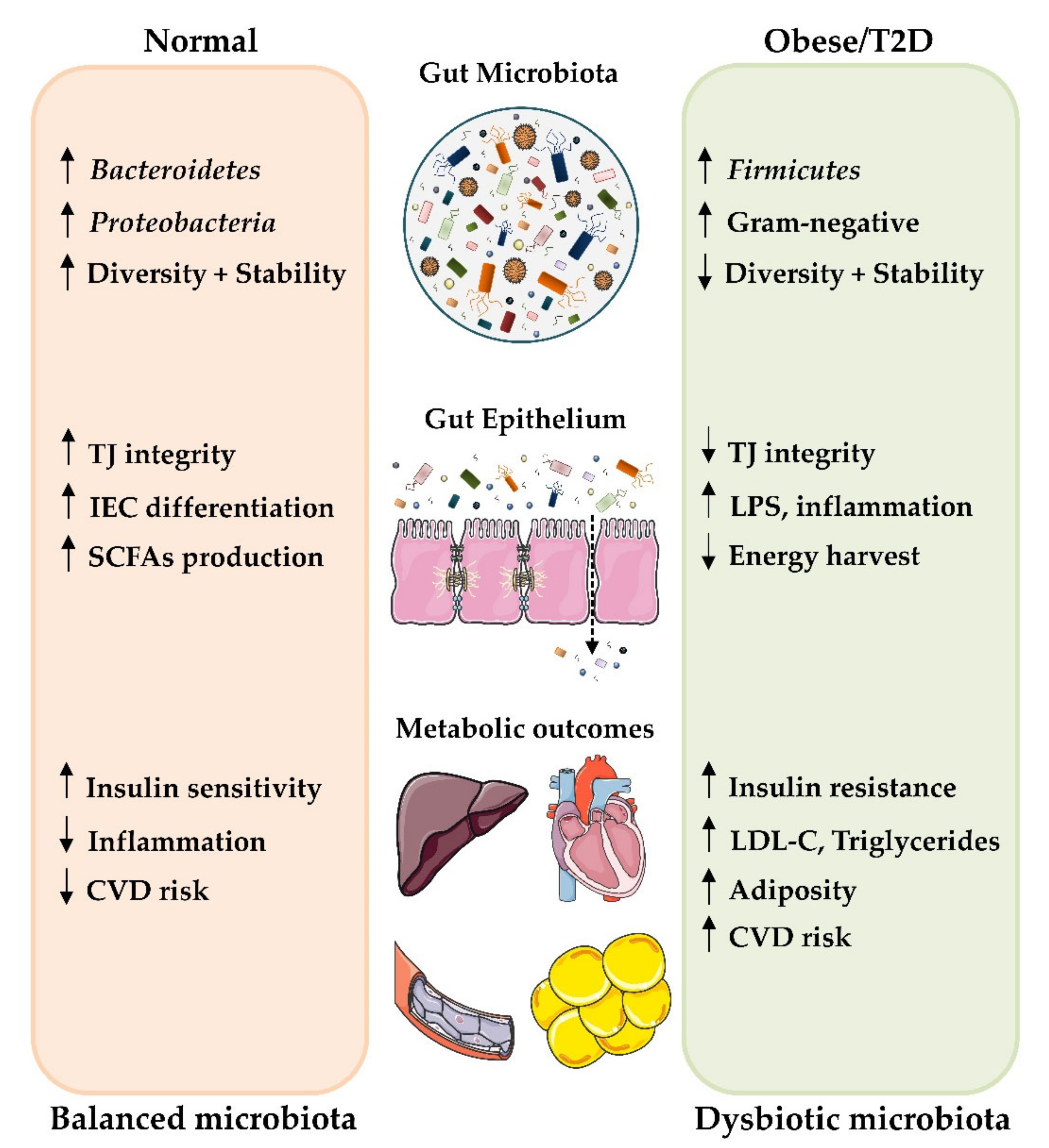 Antioxidants 09 00848 g002