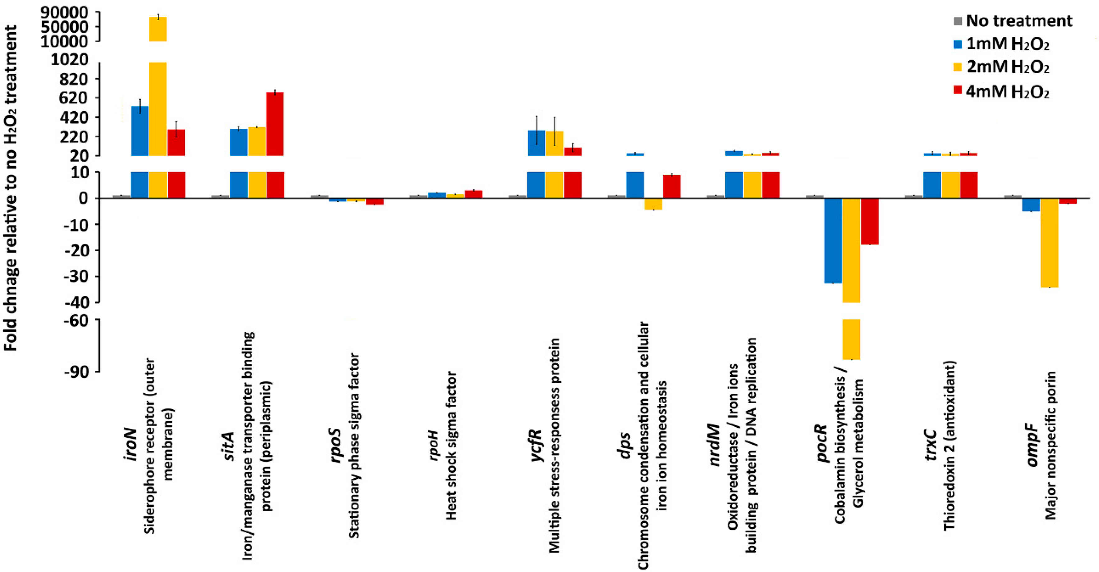 Antioxidants 09 00849 g002