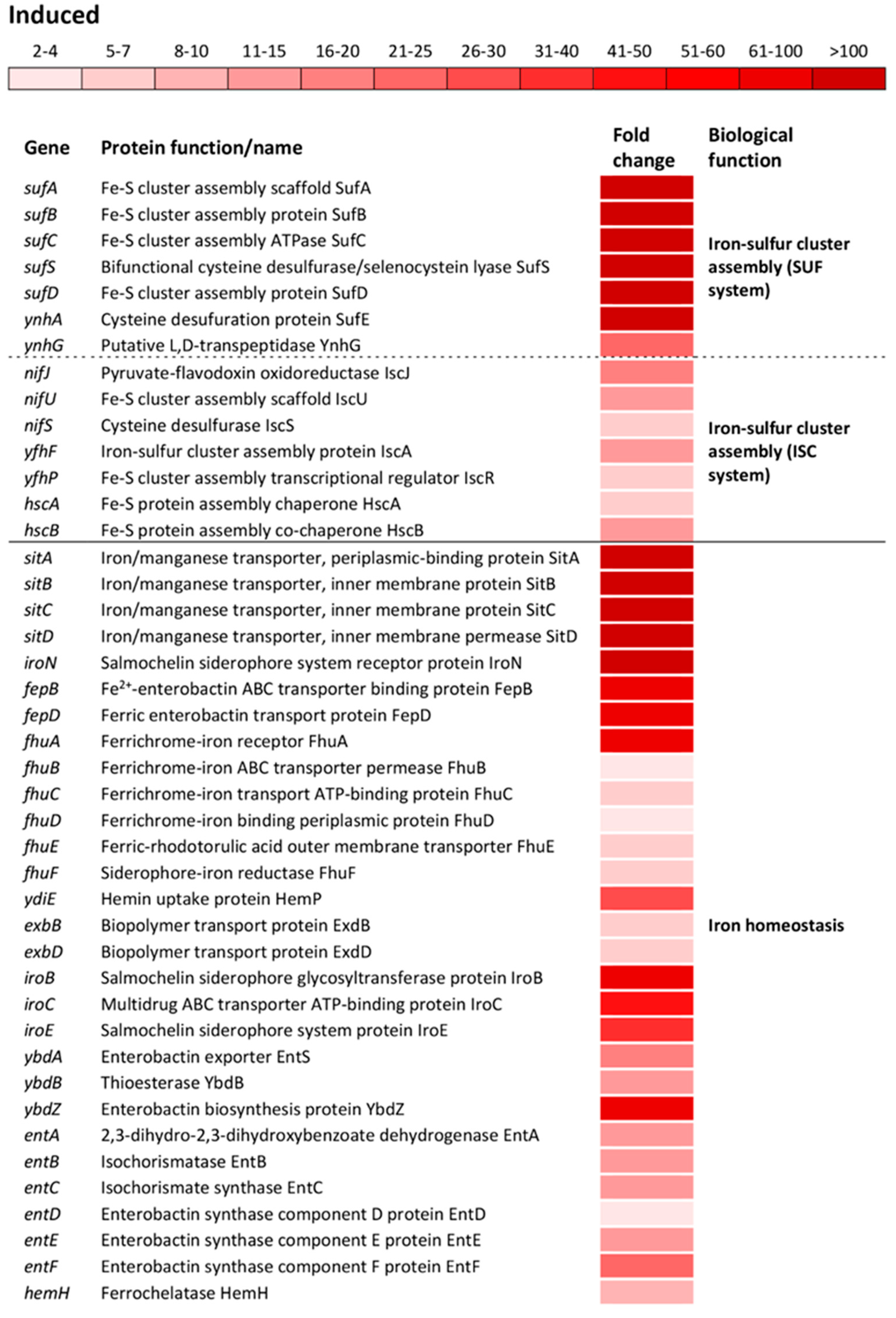 Antioxidants 09 00849 g003